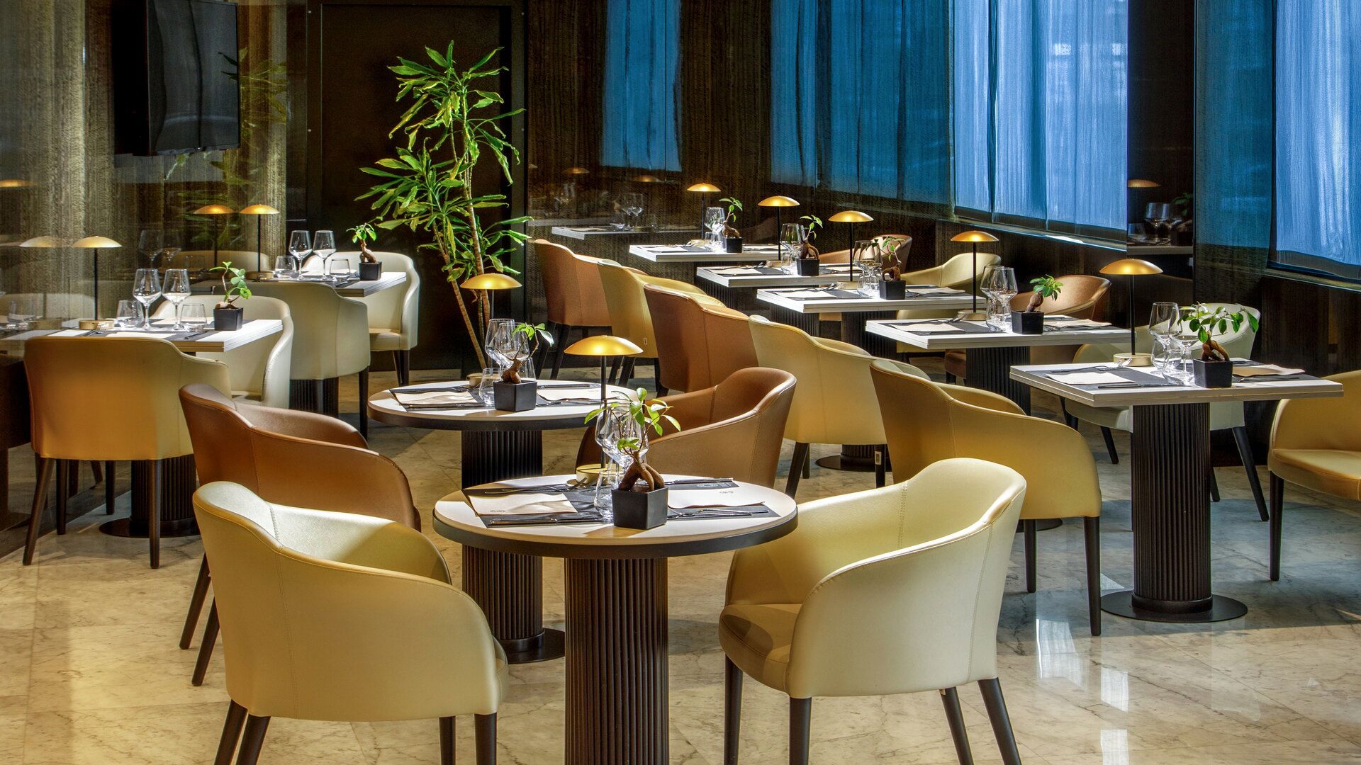 Sidera Restaurant & Sidus Café 8