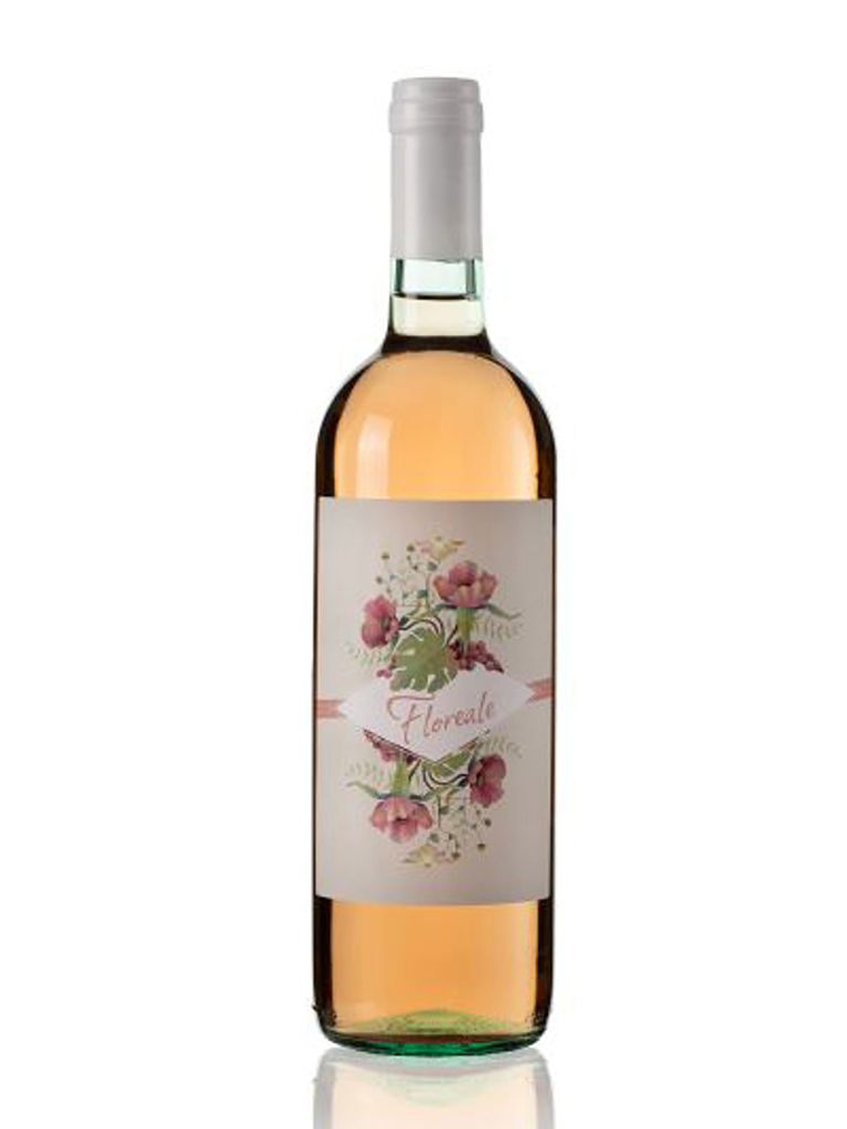 Vicchiomaggio Wines 5