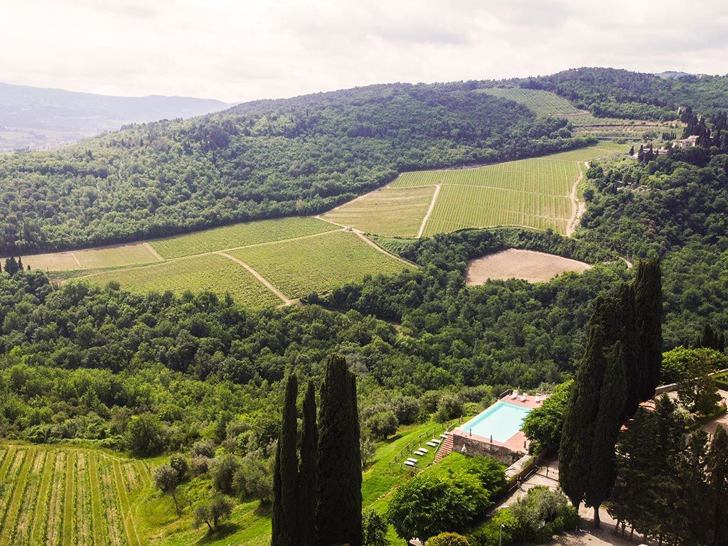 Azienda Vitivinicola 7