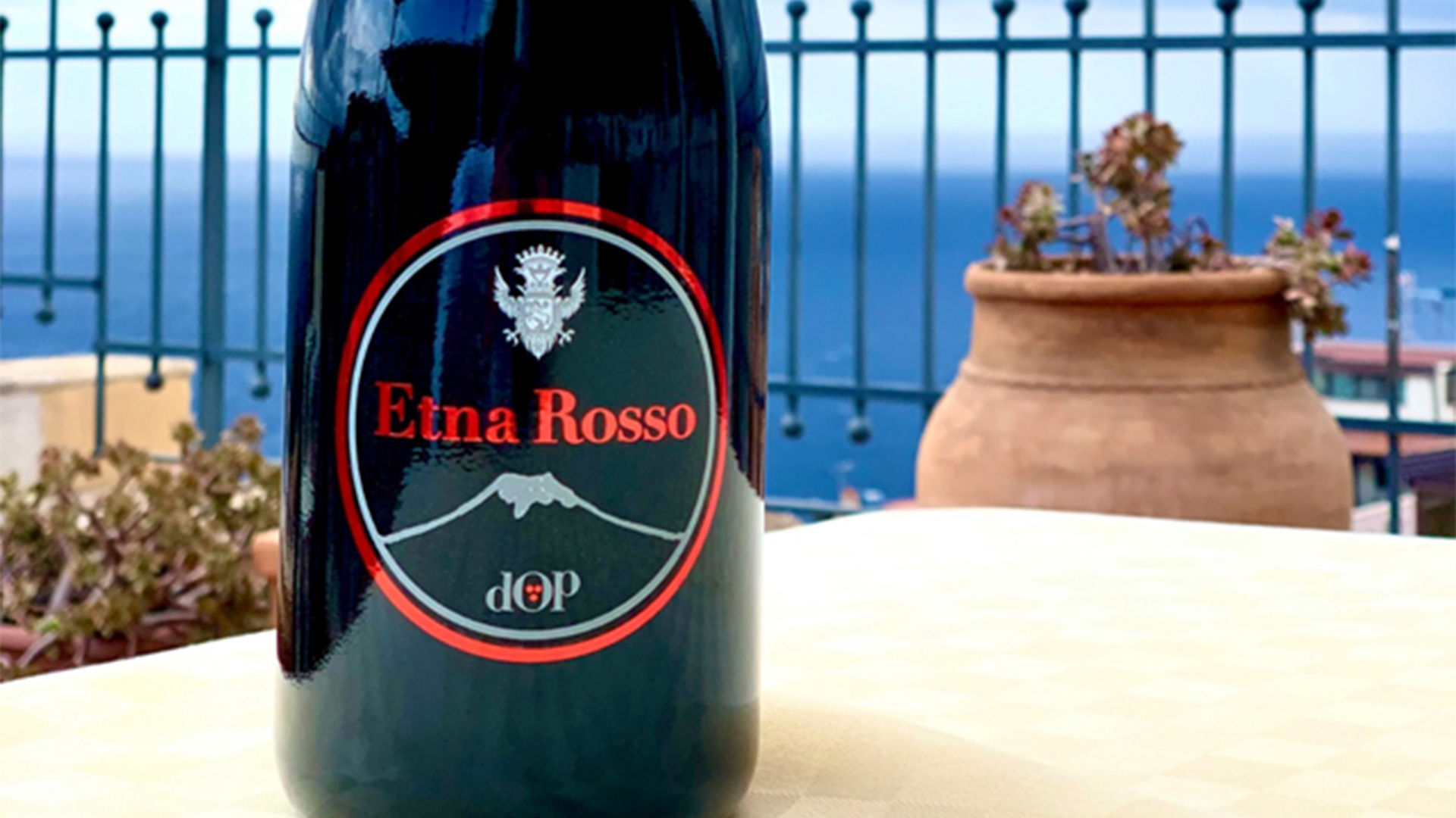 Degustazione di vini 1