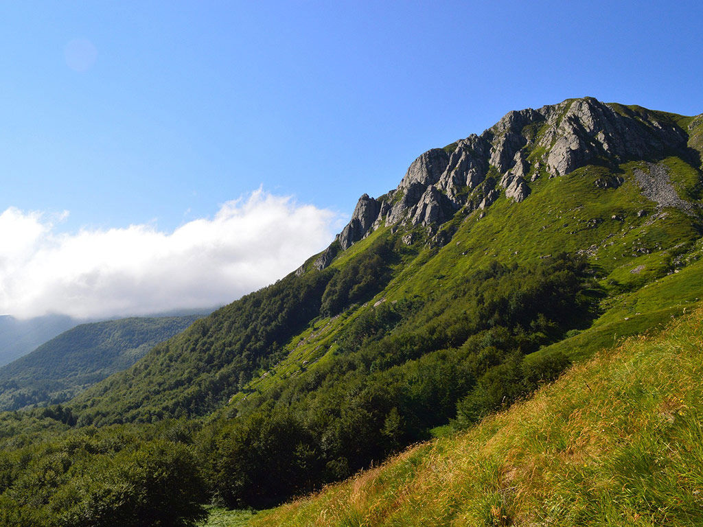 What to See Around Lucca 4