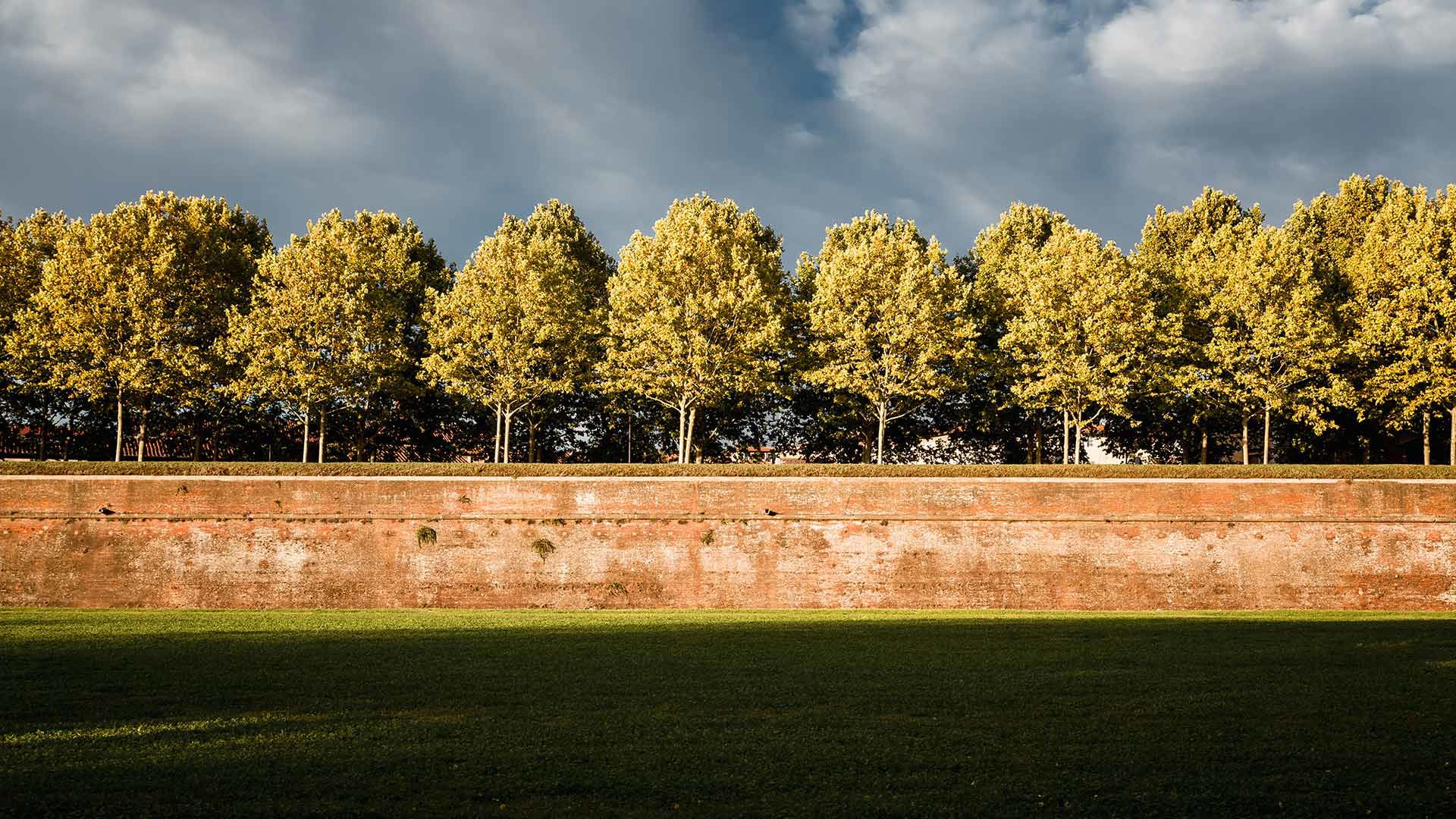 Lucca: Initiatives and Events 2