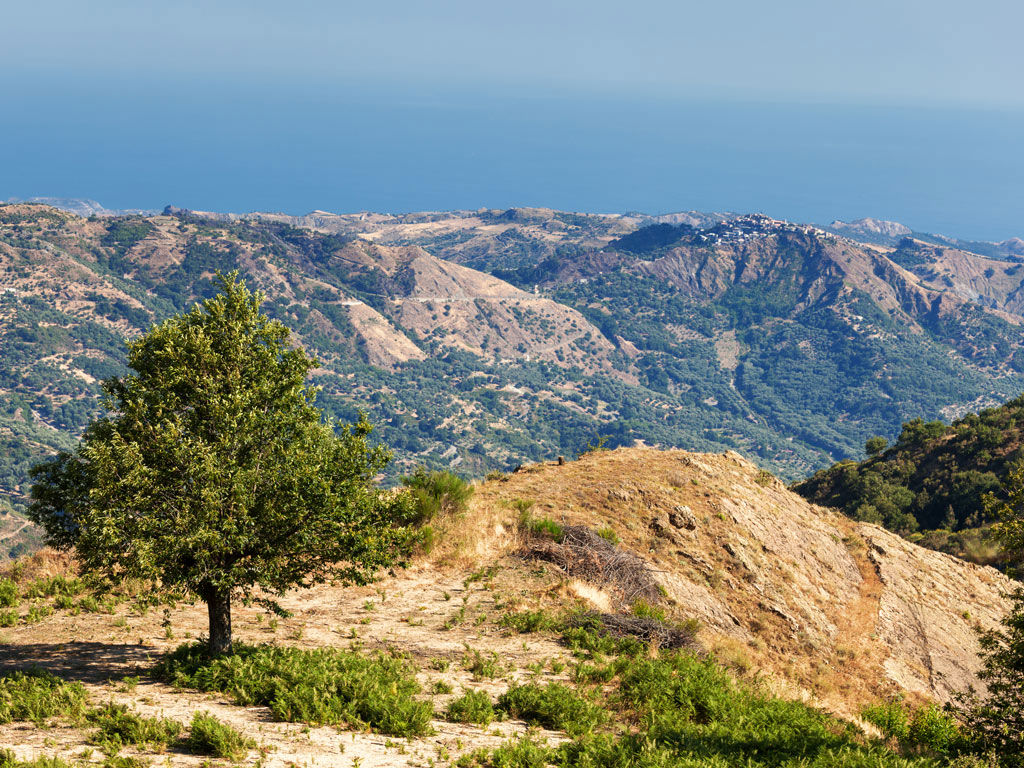 Reggio Calabria e dintorni 4