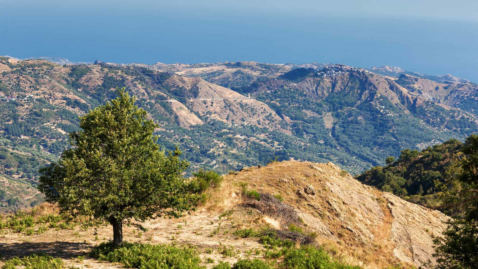 Reggio Calabria e dintorni 2
