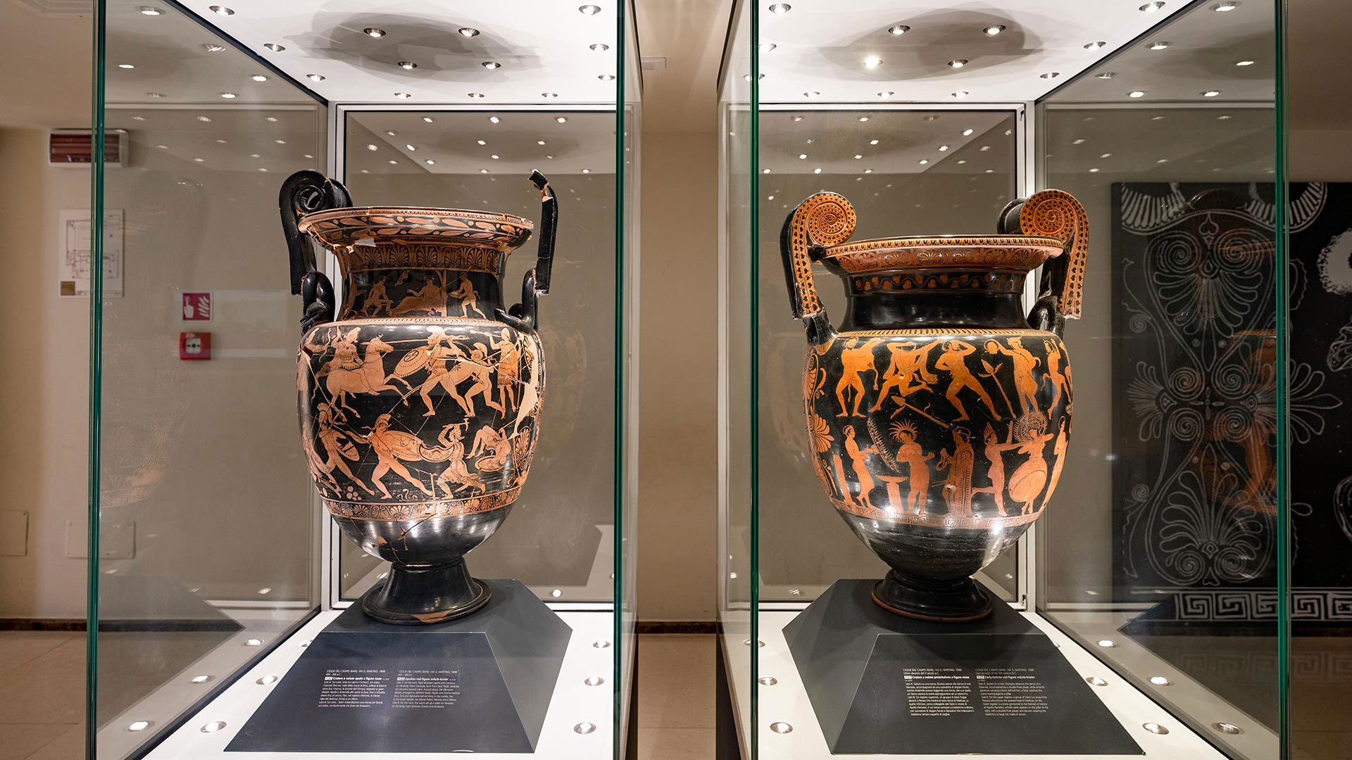 Crateri greci a figure rosse esposti in un museo