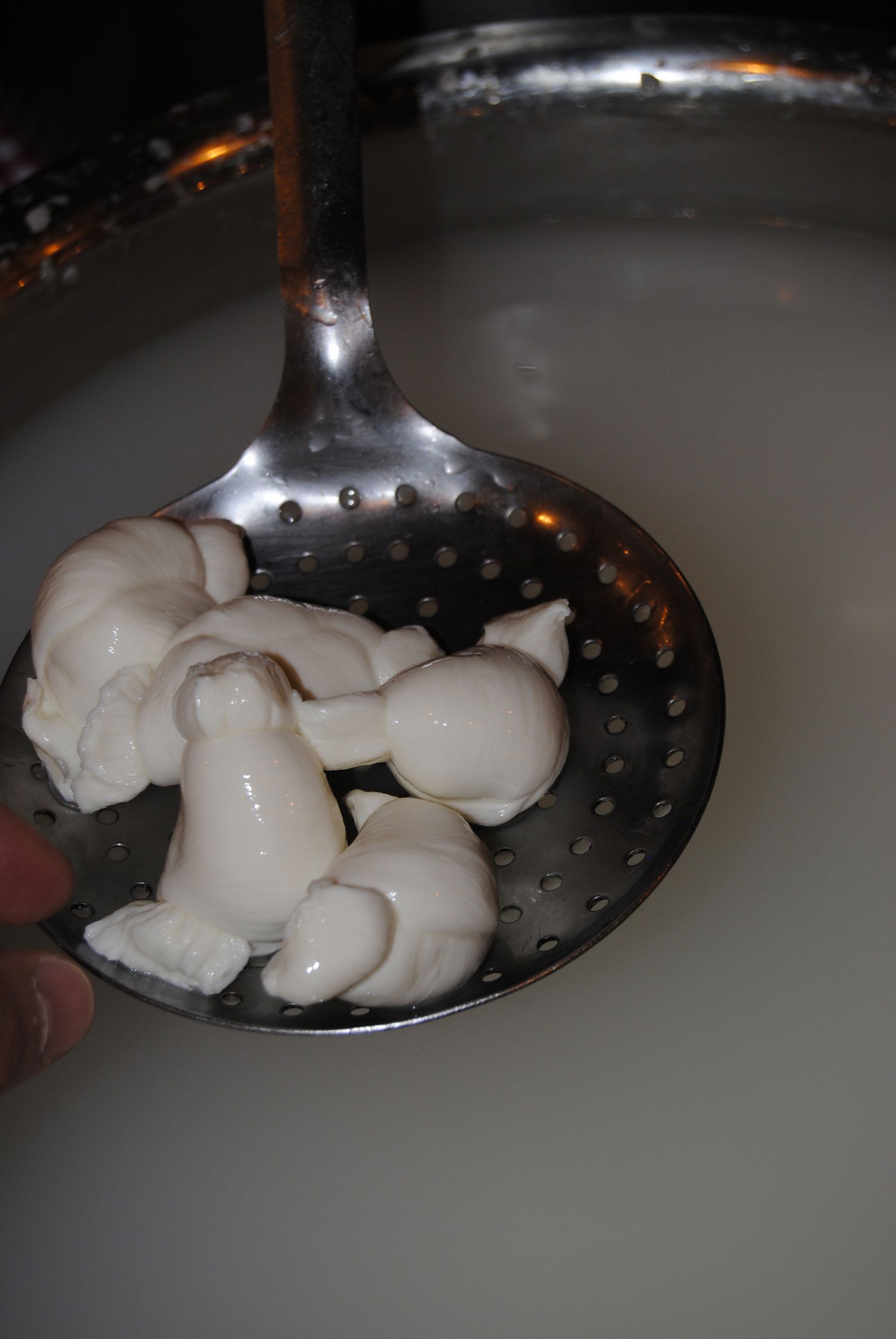Velada de Apulia 1