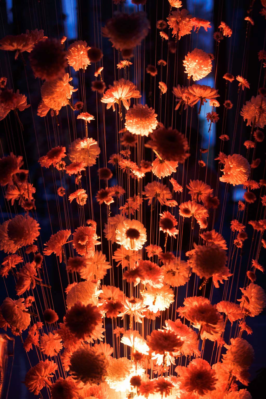 gallery/1024-vertical-flower-show.jpg
