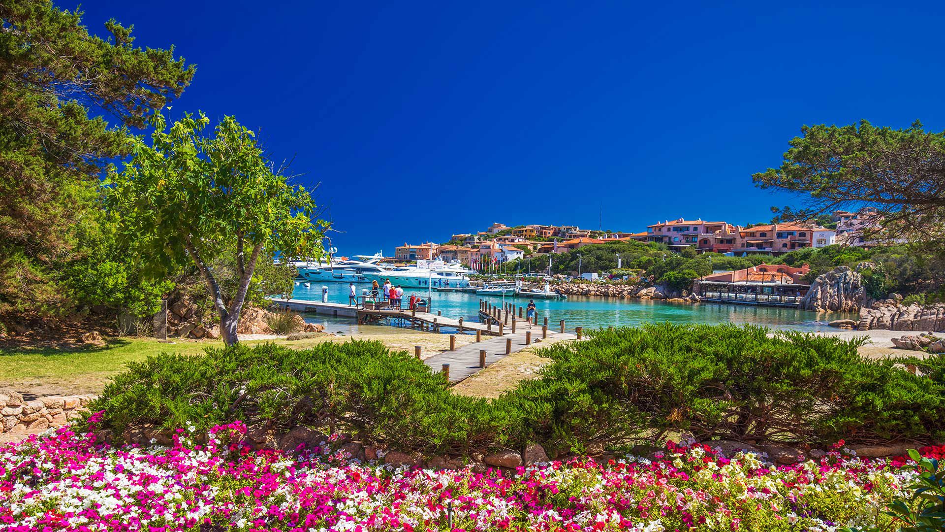 Residence Bougainvillae 1