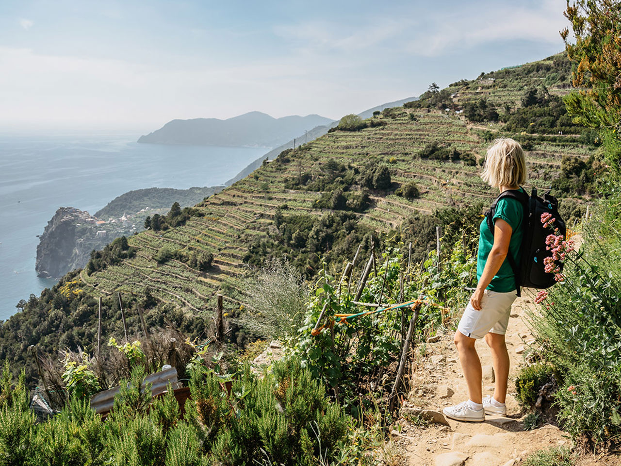 Environnements 11 Environnements 11