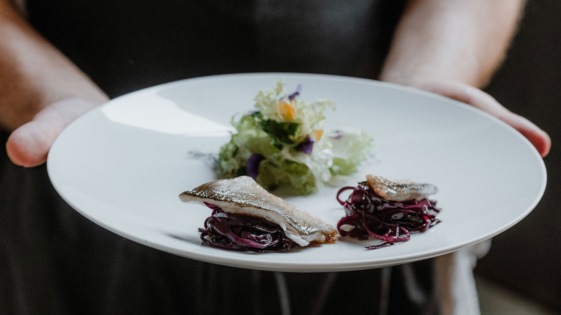 Prodotti e produttori 6