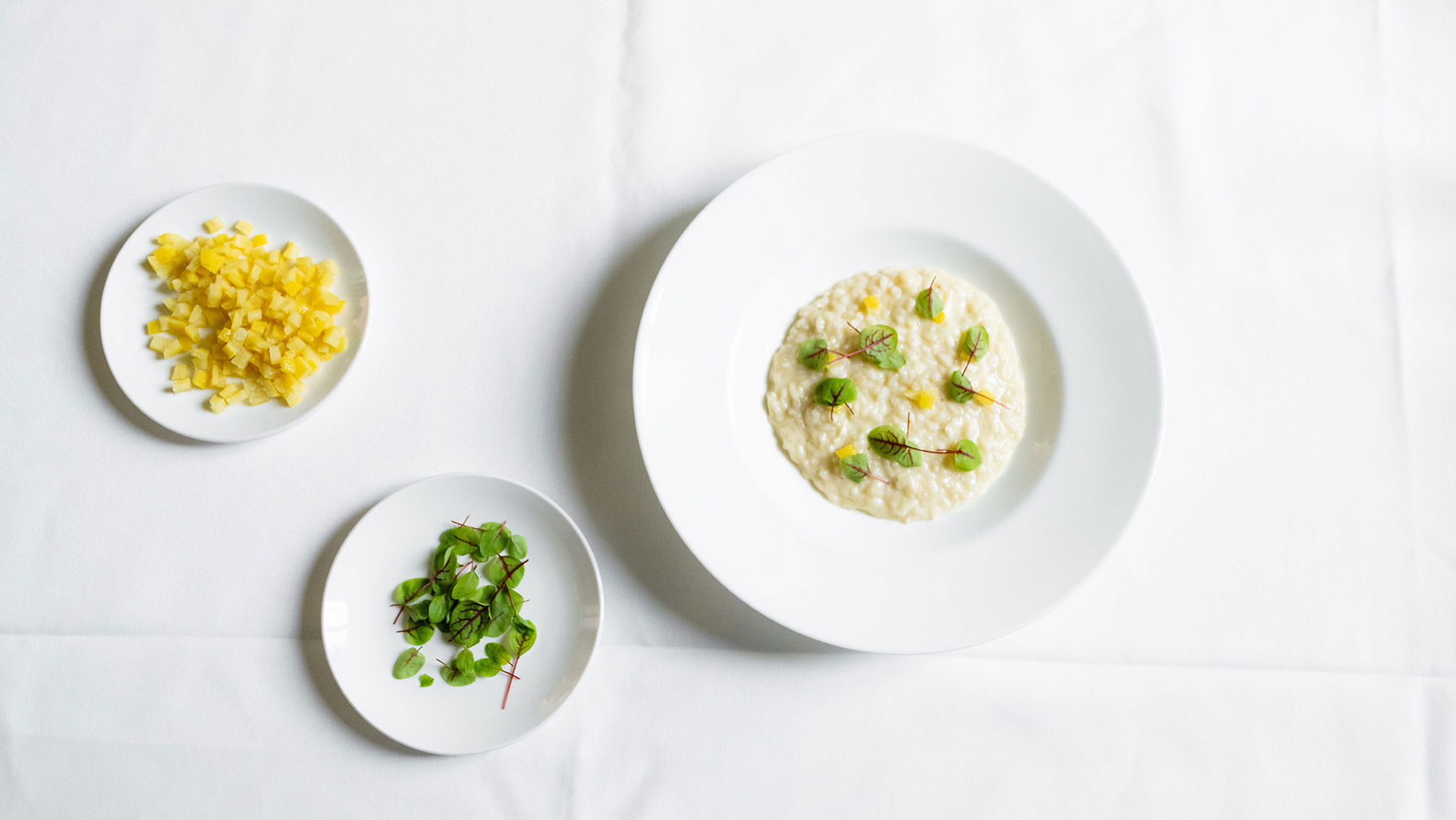 Prodotti e produttori 4