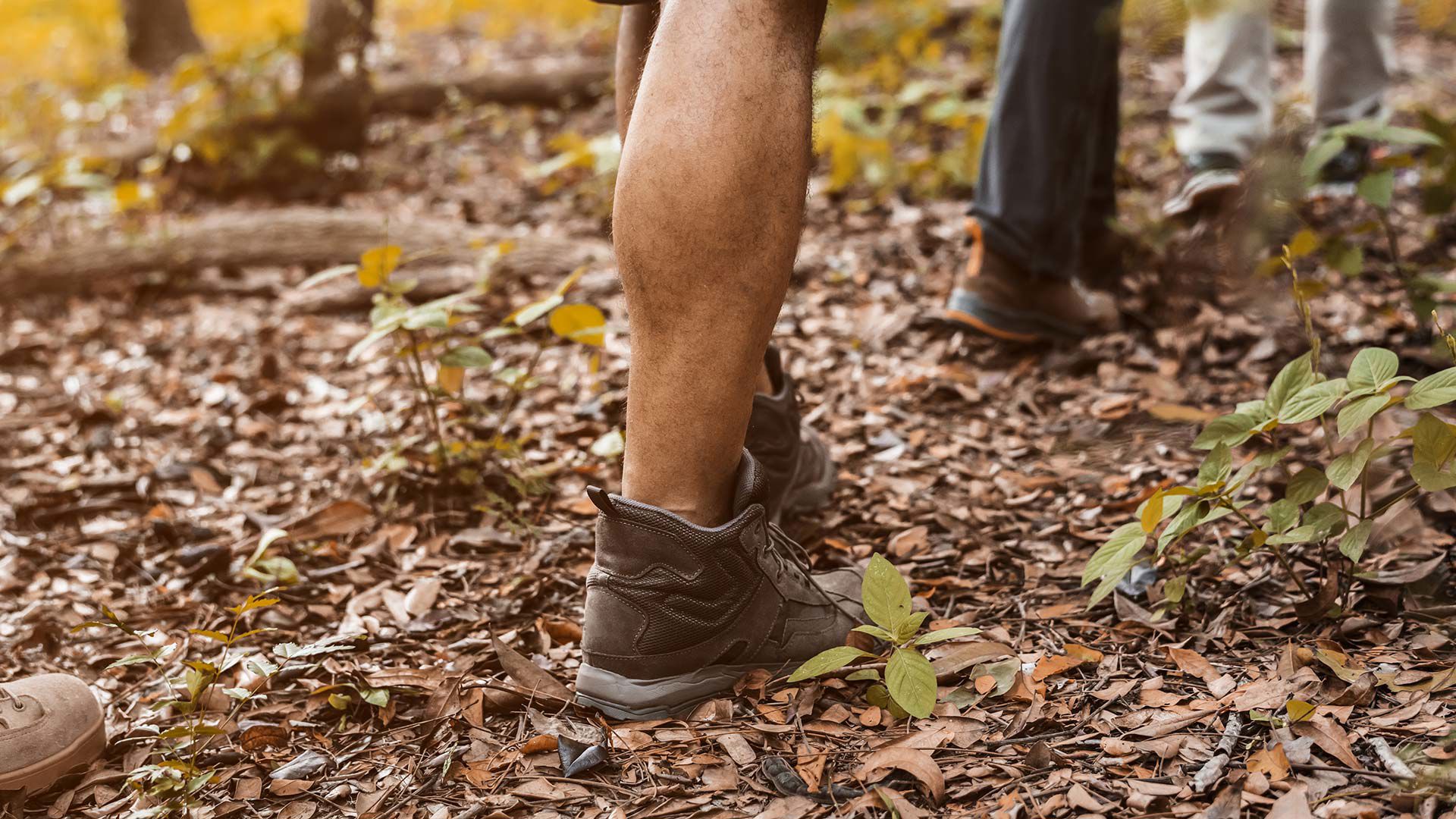 Excursions, sports and nature in the Langhe 2