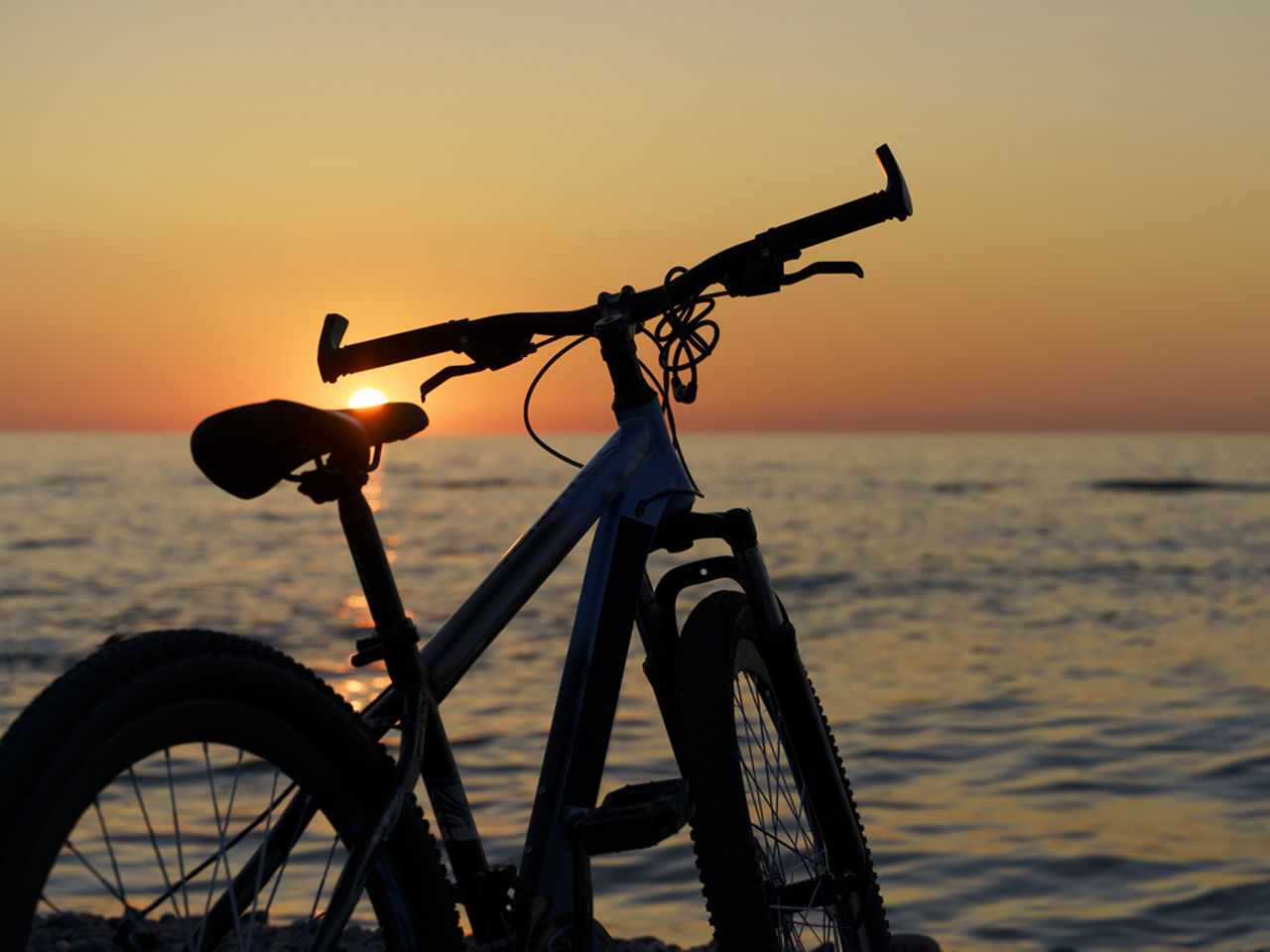 Bike & E-Bike Tour