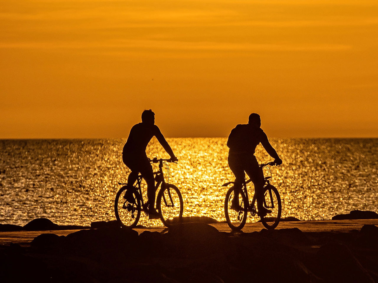Itinerari in Romagna con Bike e E-Bike Tour