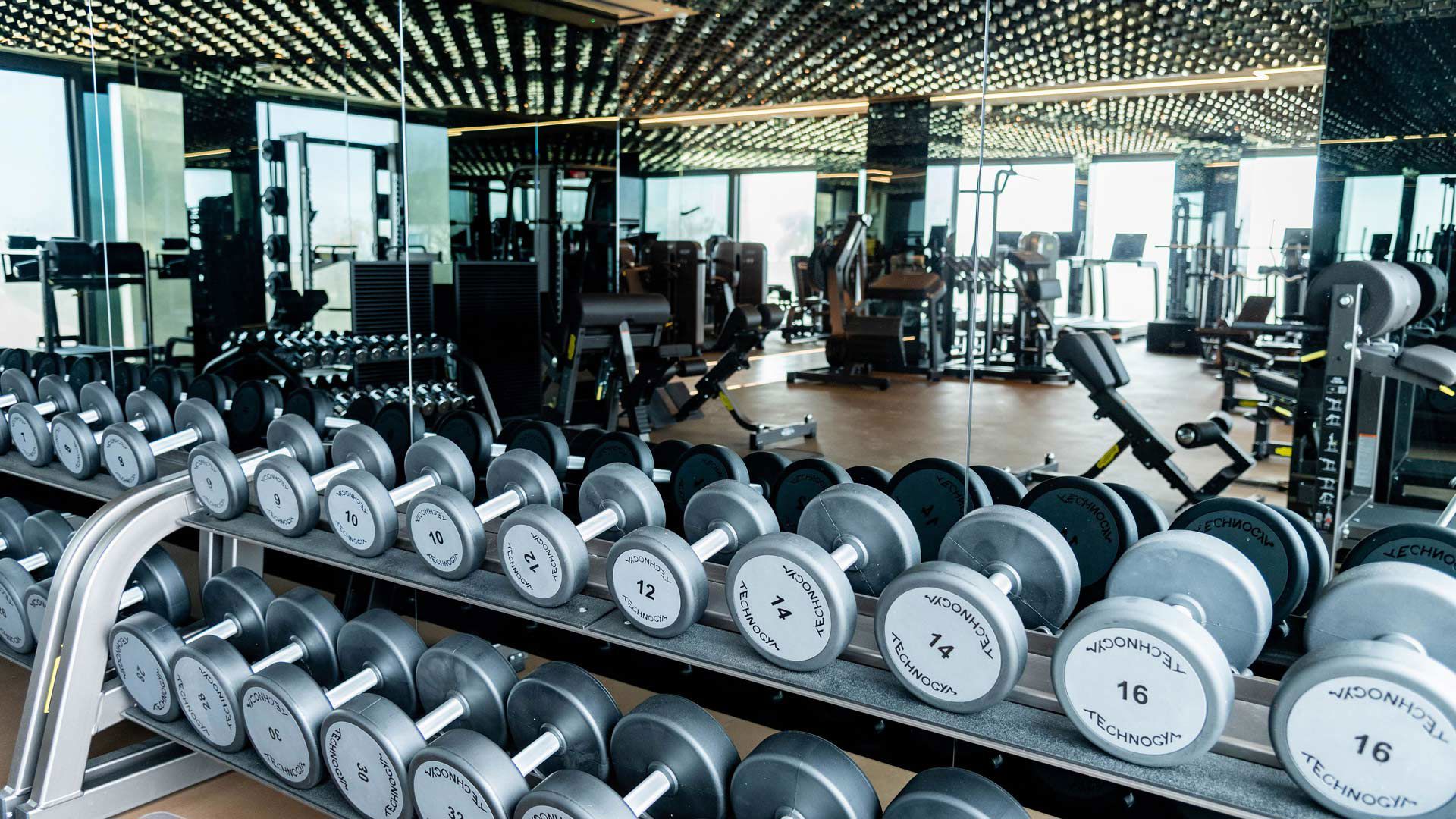The Gym 3