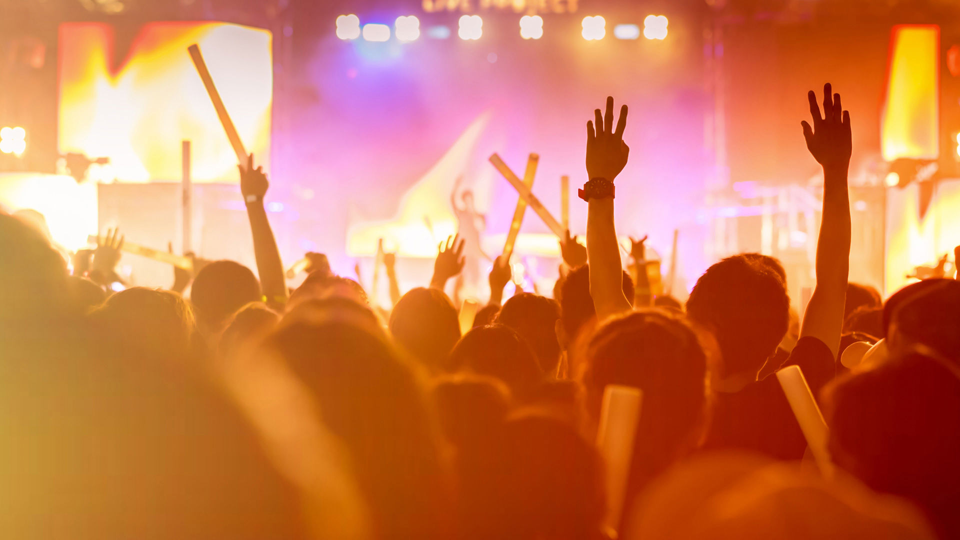Konzerte und Shows