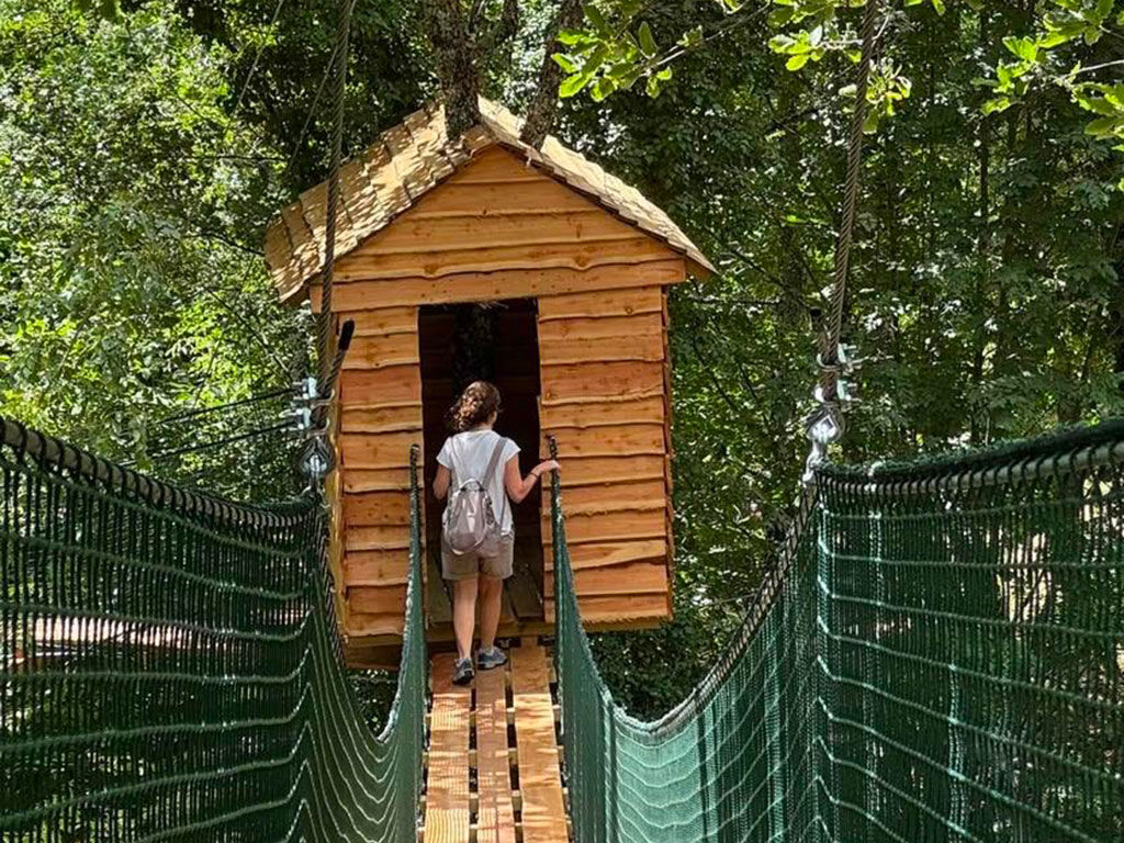 Attività gratuite 5