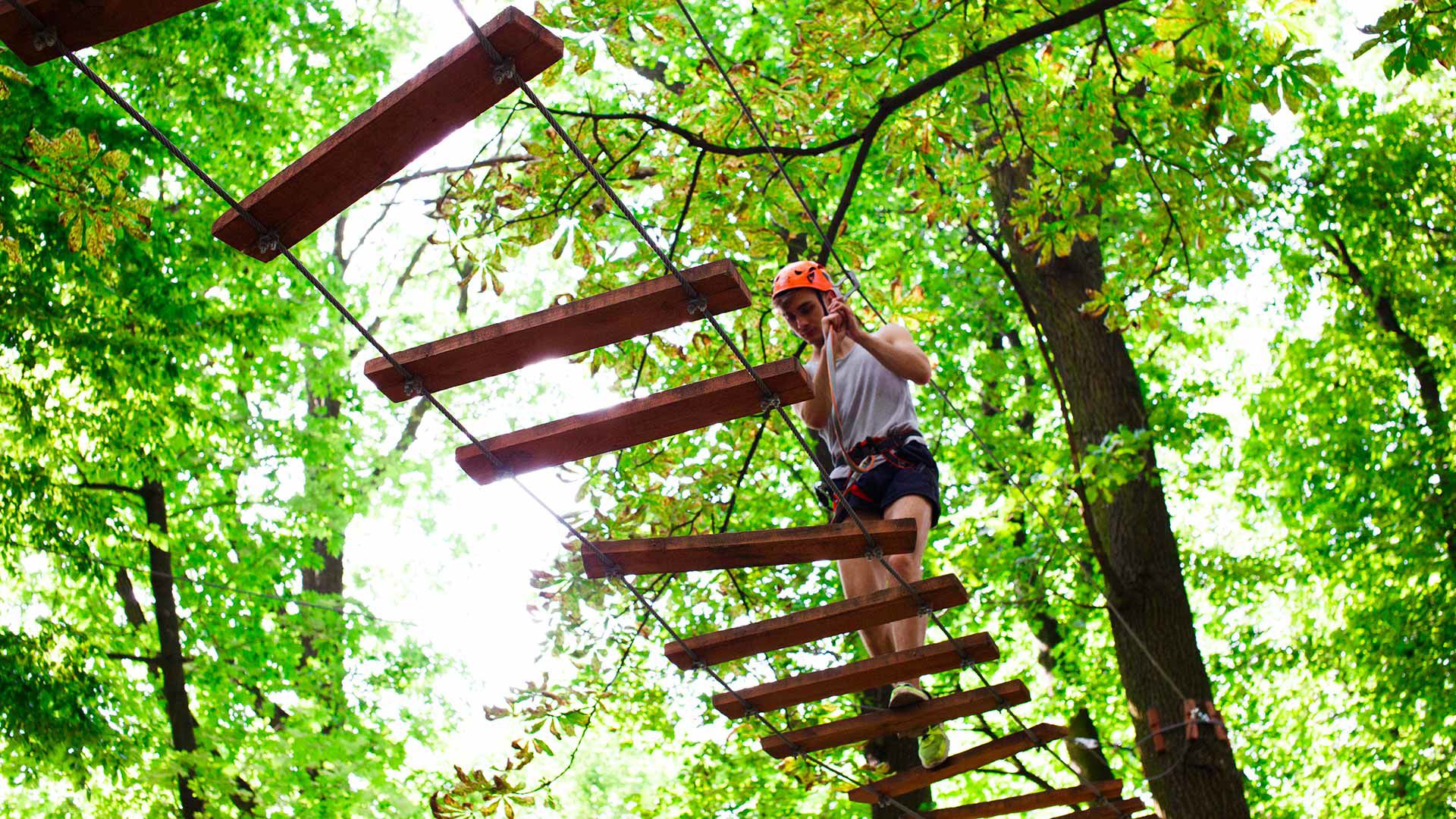 Camminata tra le cime degli alberi 1