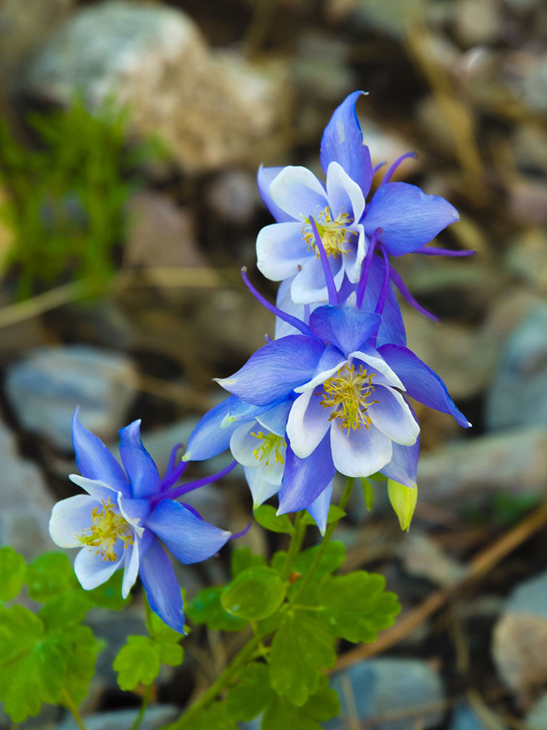 Lago d’Iseo e Lago di Endine 2