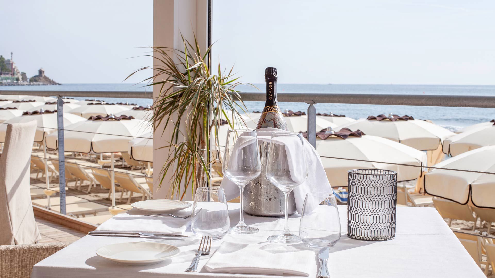 Expérience culinaire 5