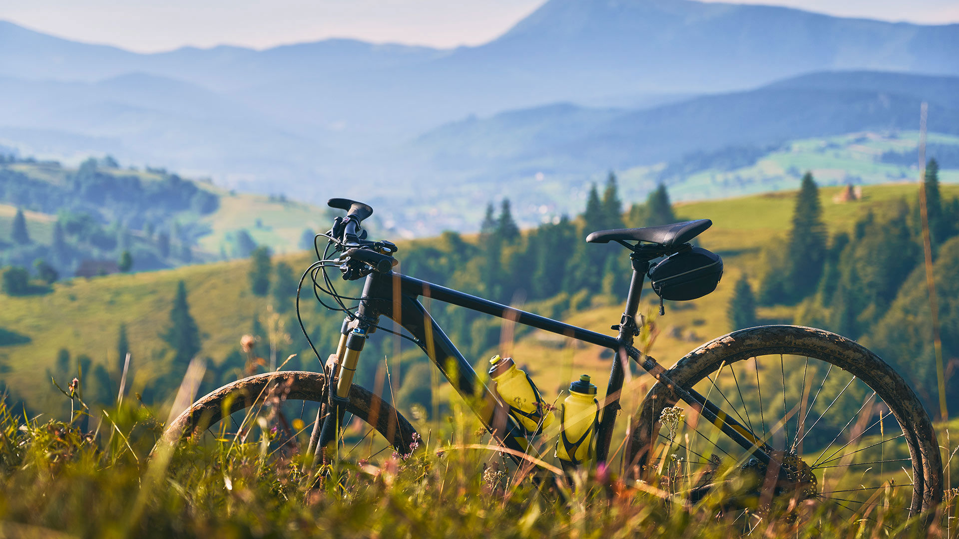 Apt Oleandro - primo piano.1