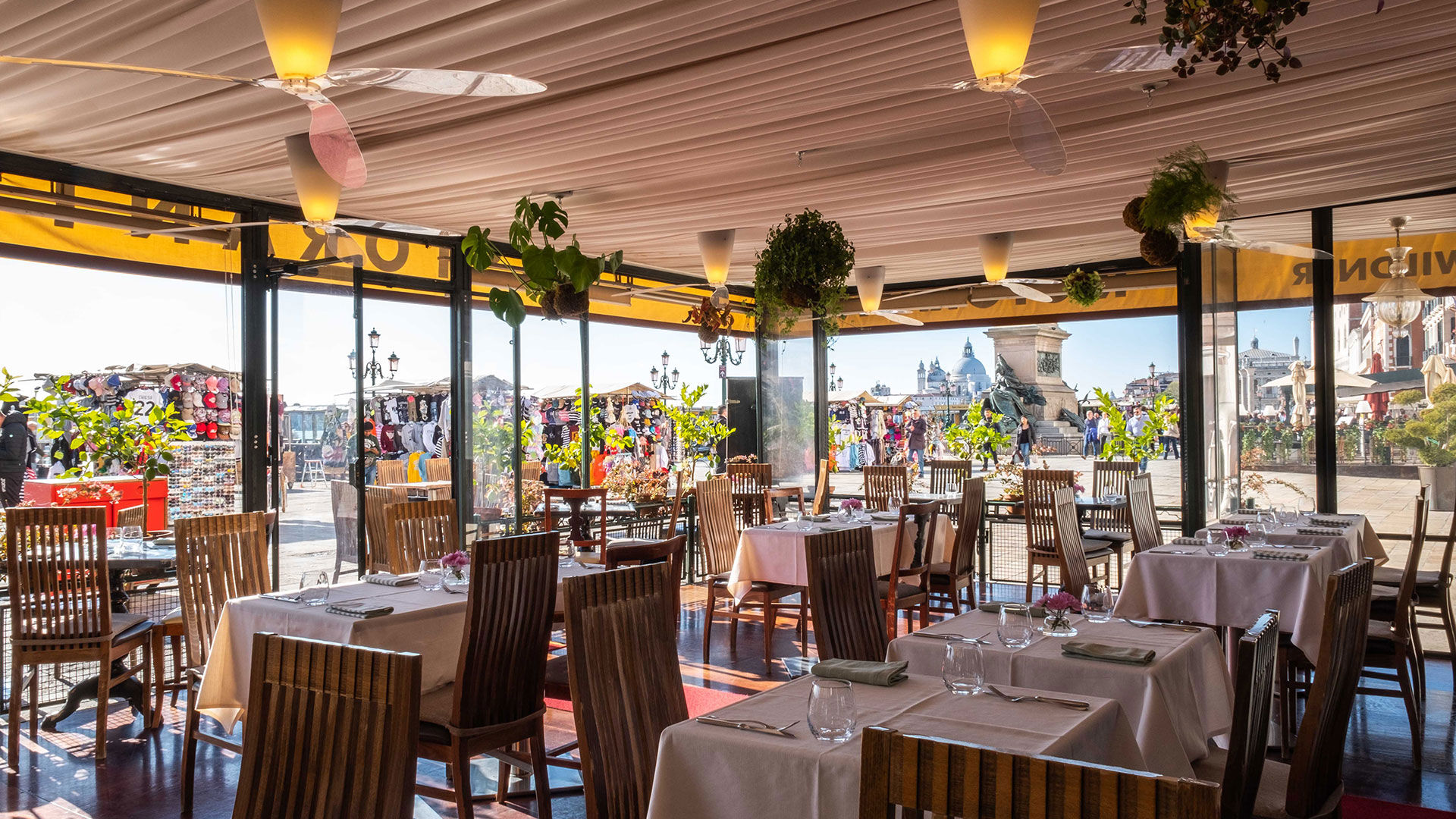 Welcome to Wildner 1