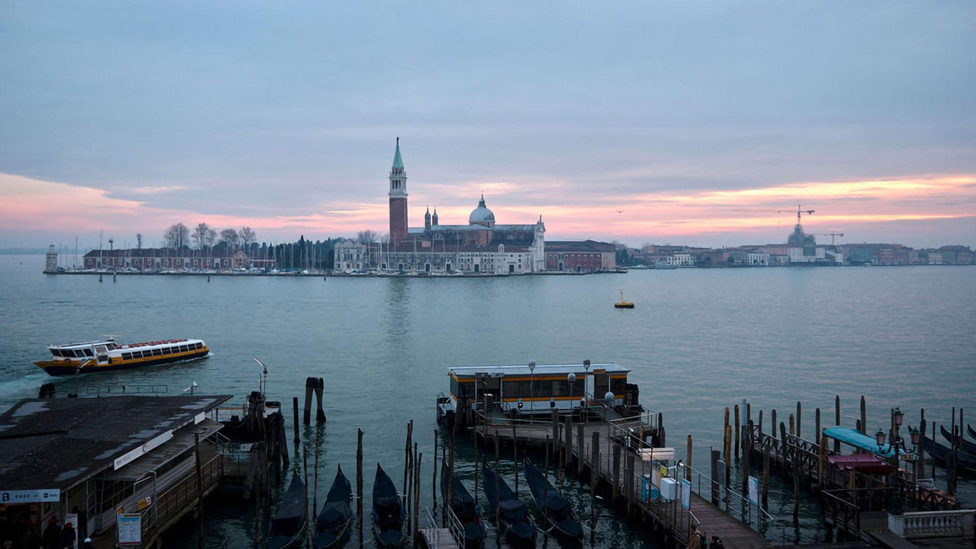 Welcome to Wildner 1