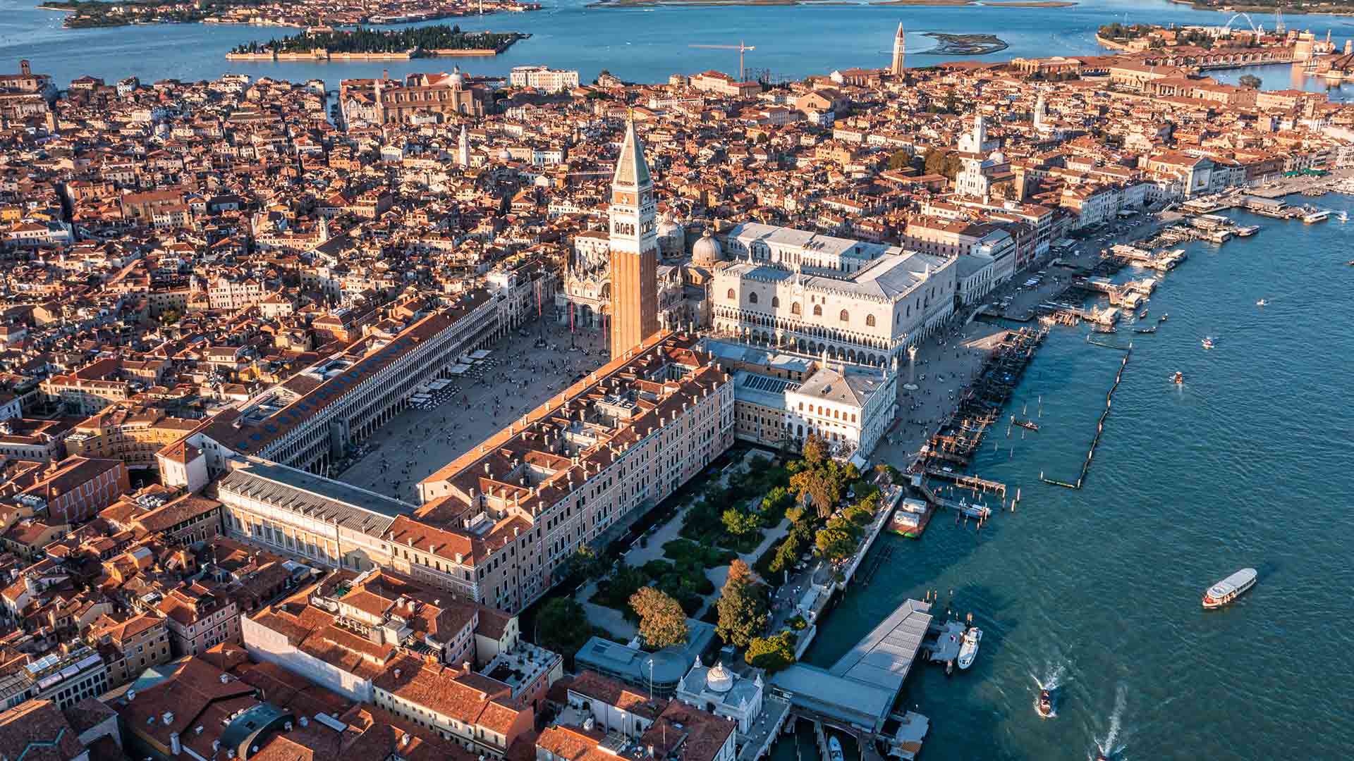 Welcome to Wildner 1