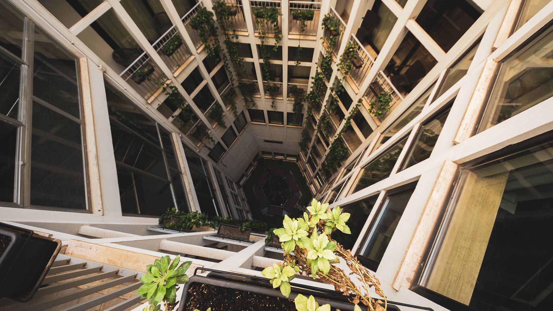 Gallery - The Hive: snapshots from a luxurious urban hive