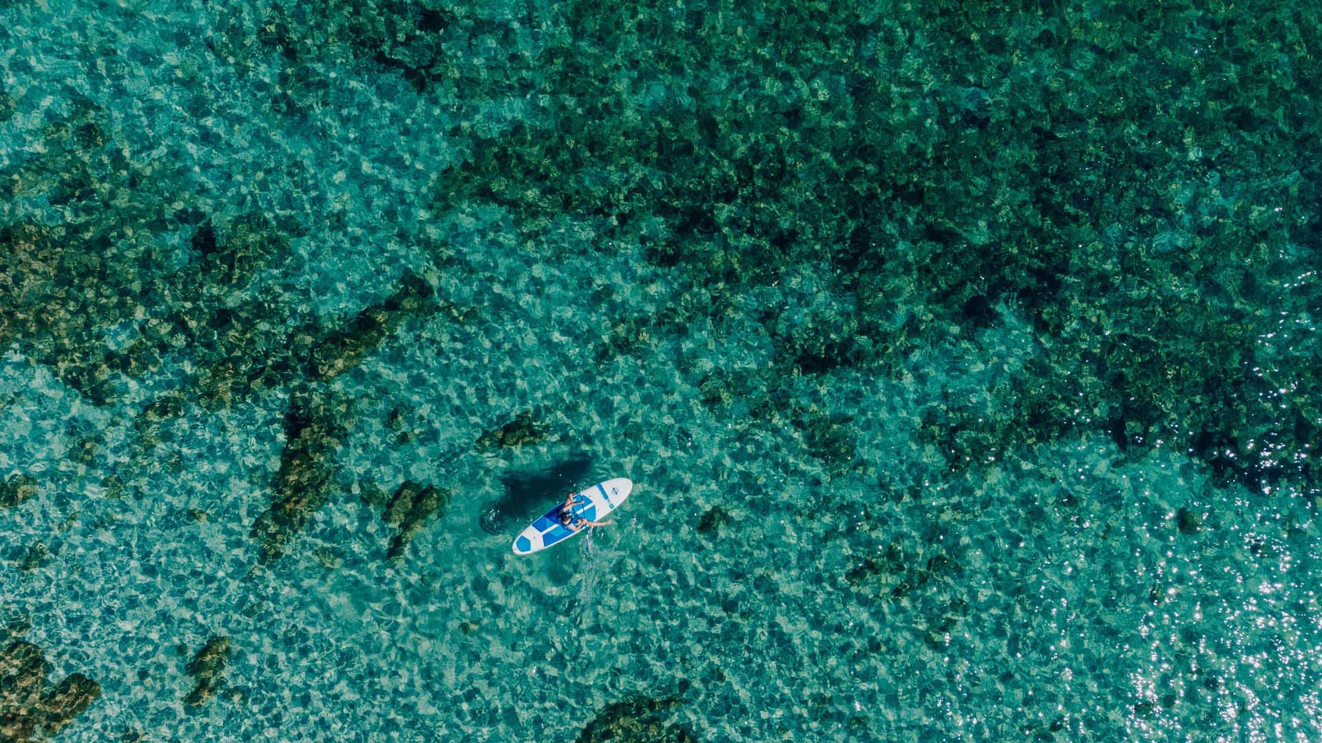 Attività Sportive 3