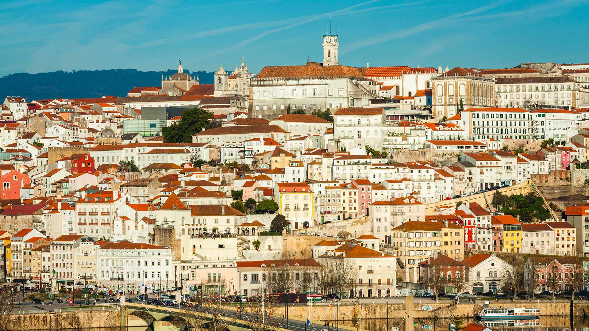 Experiences & Activities 3