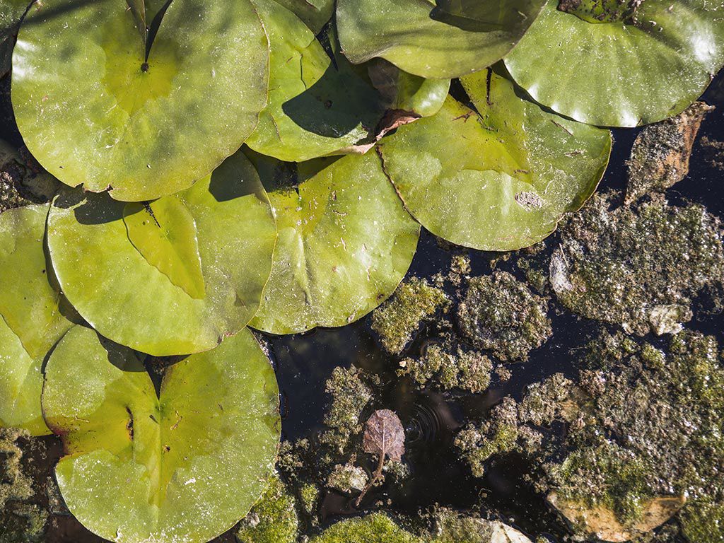 10 Cose da Vedere e Gustare 4