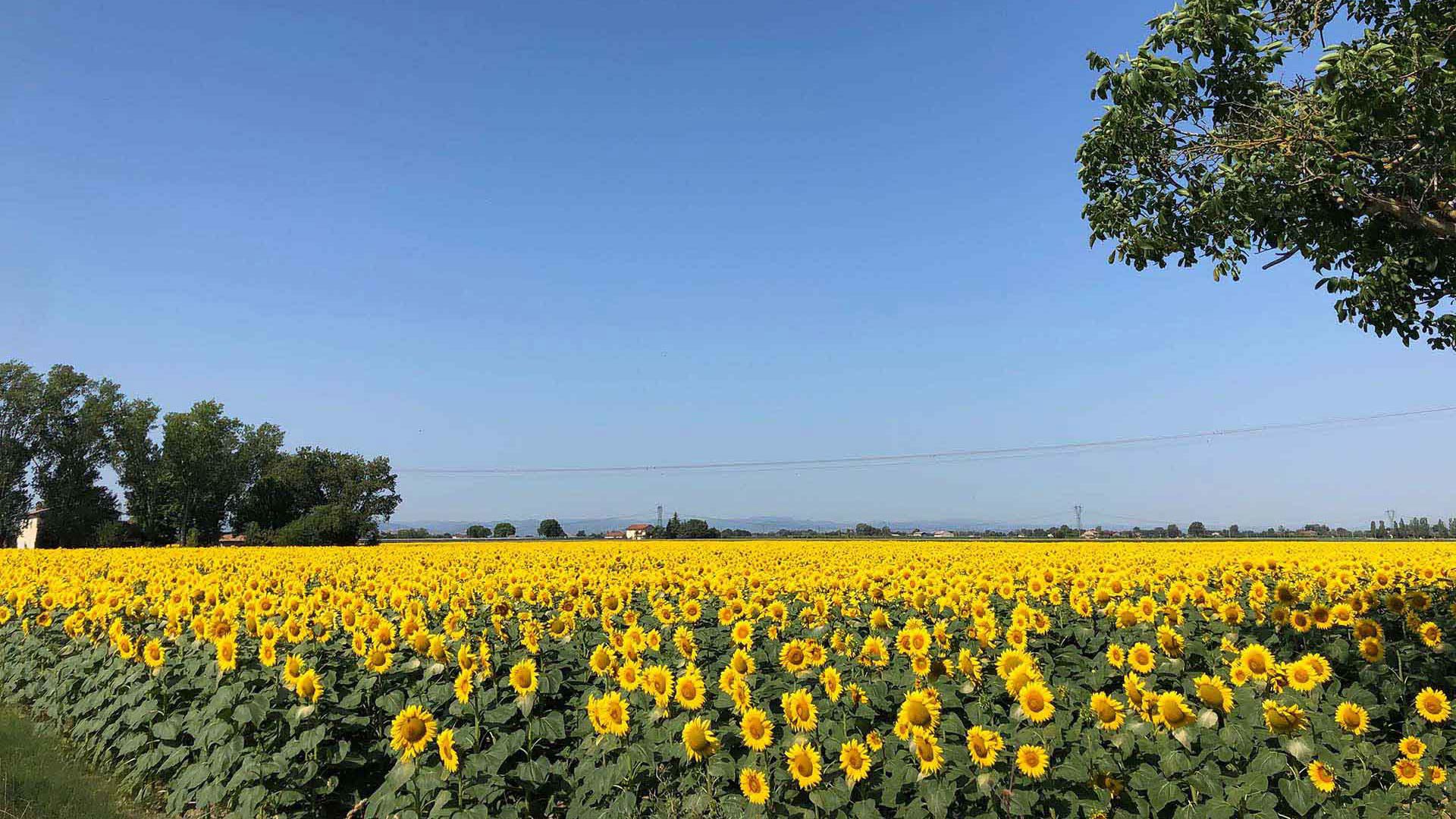 Sport, Bike e Nordic Walking 1