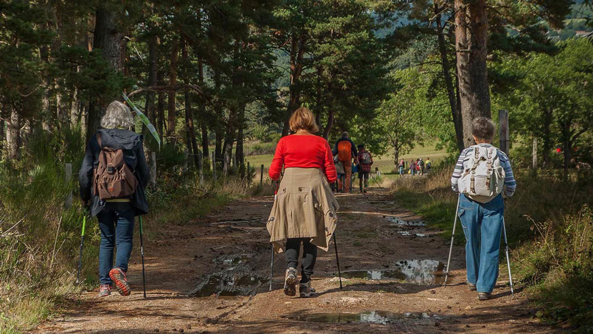 Il cammino della misericordia 1