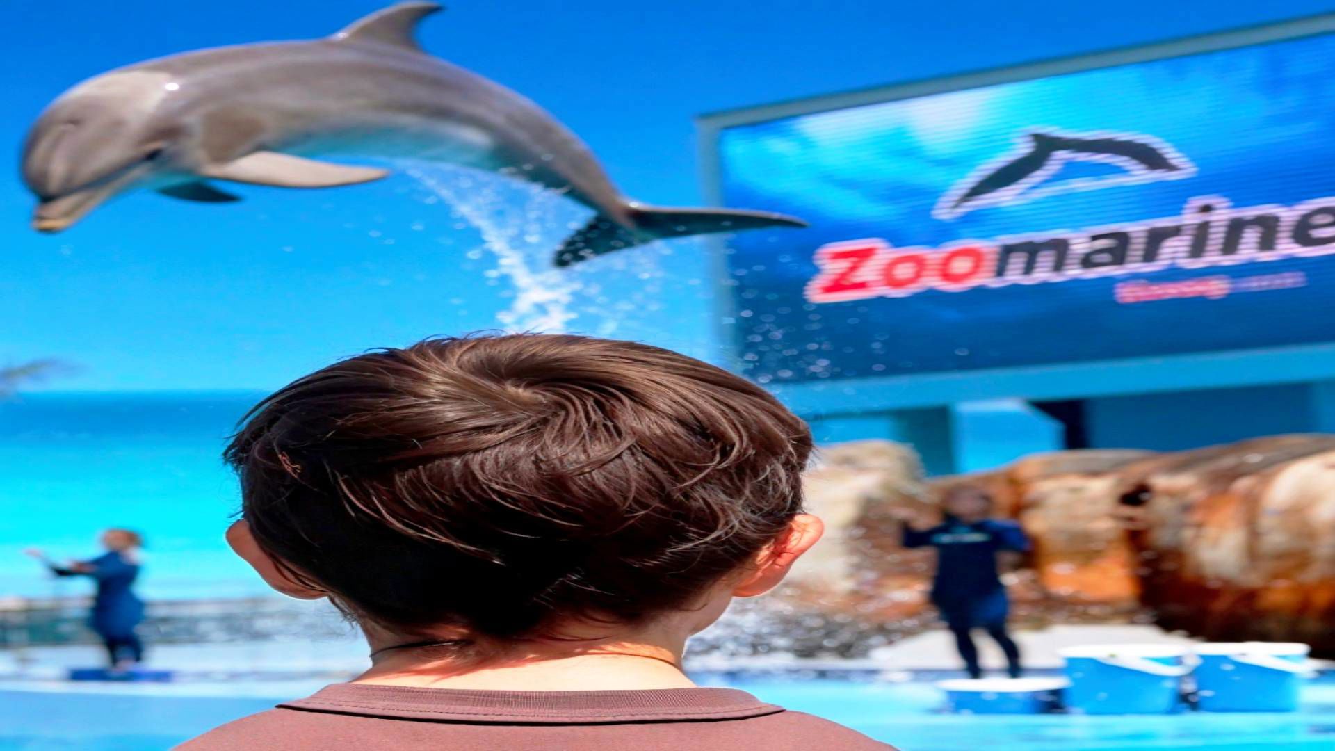 Theme Parks 6