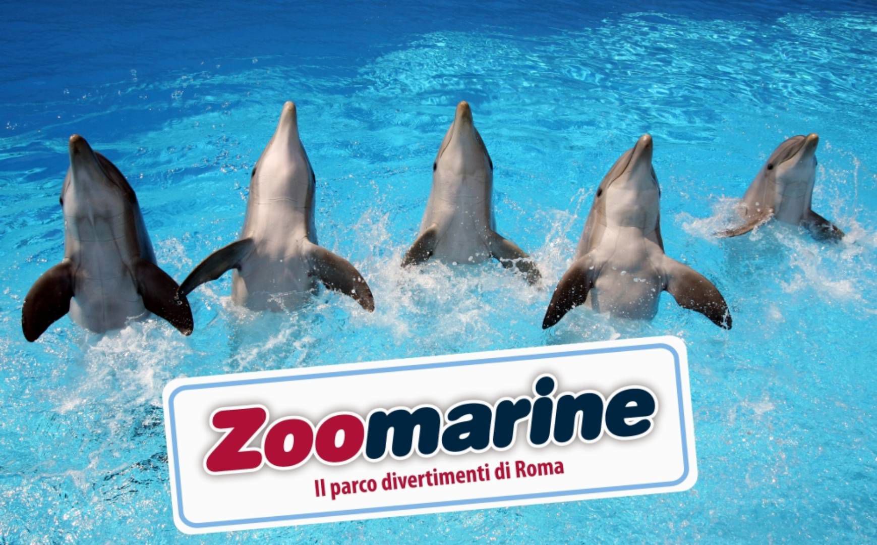 Parchi Divertimento 3