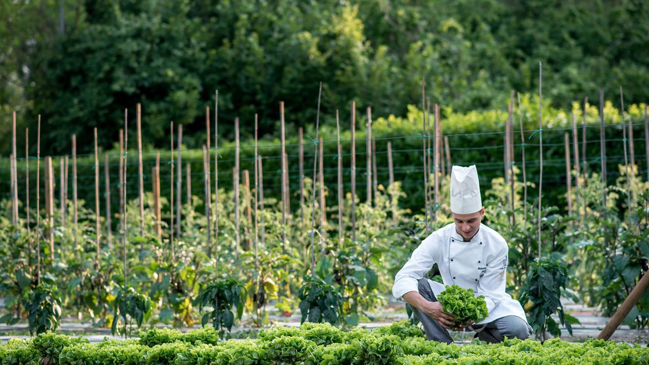 Ristorante Margherita 19