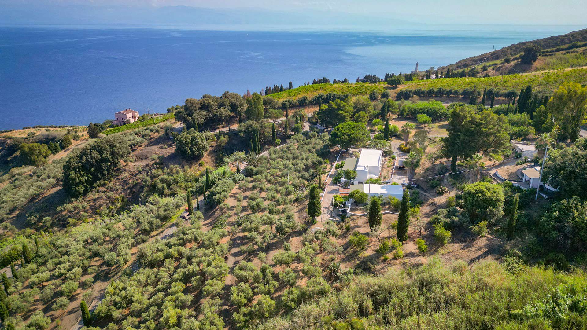 Piscine naturali 4