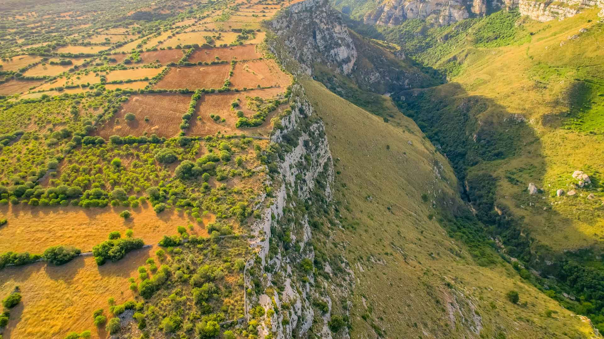 Dintorni 6