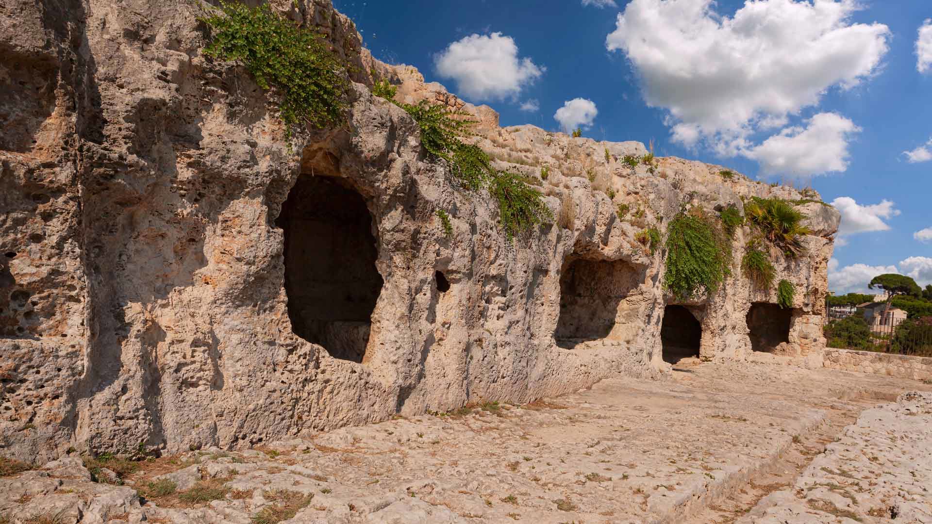Dintorni 6
