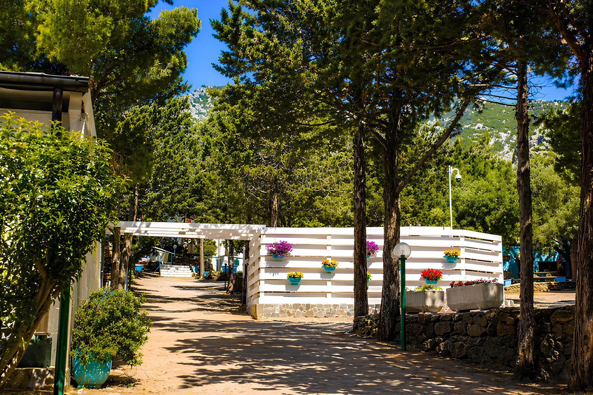 Camping 12