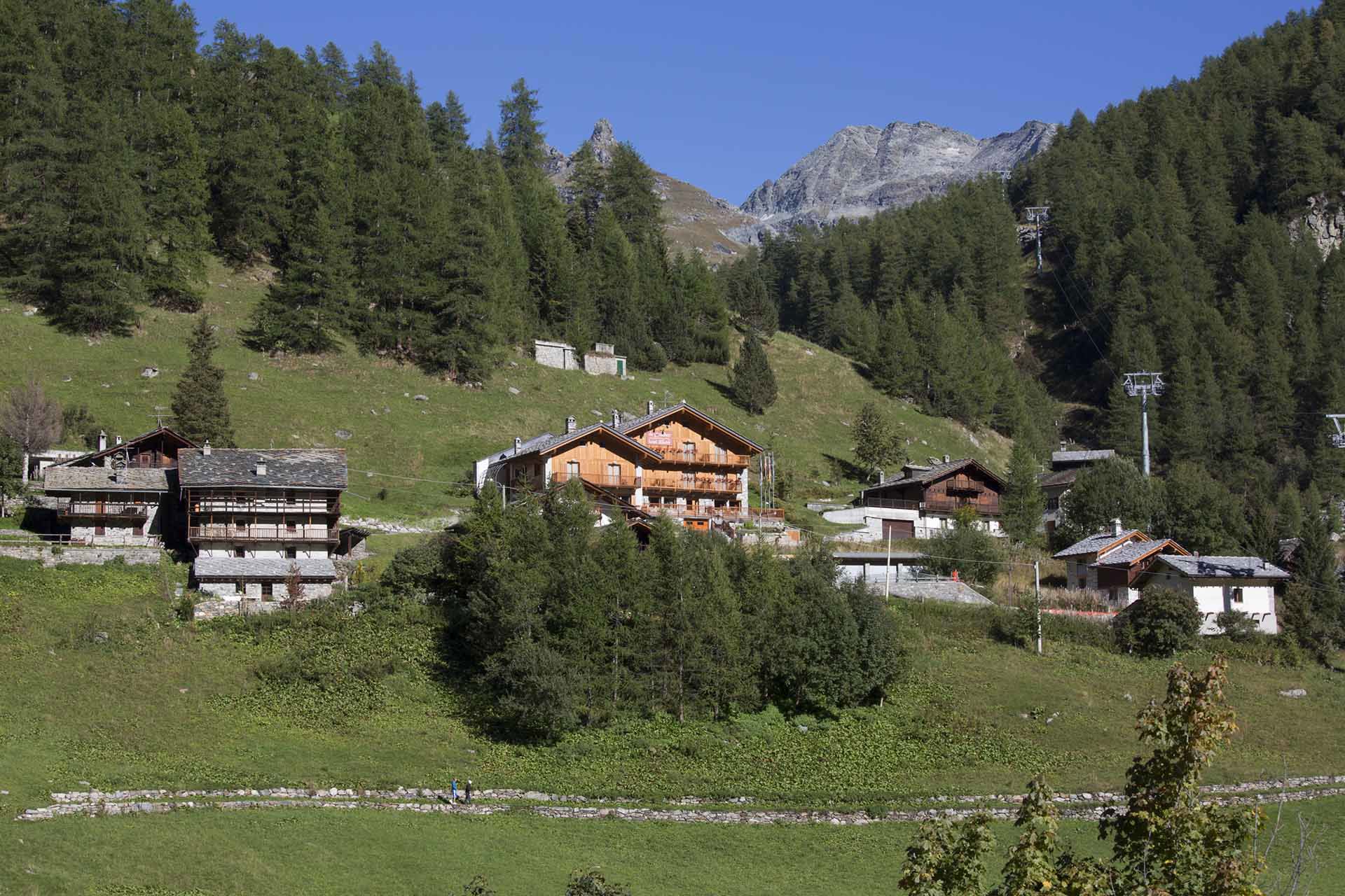 Attività 6