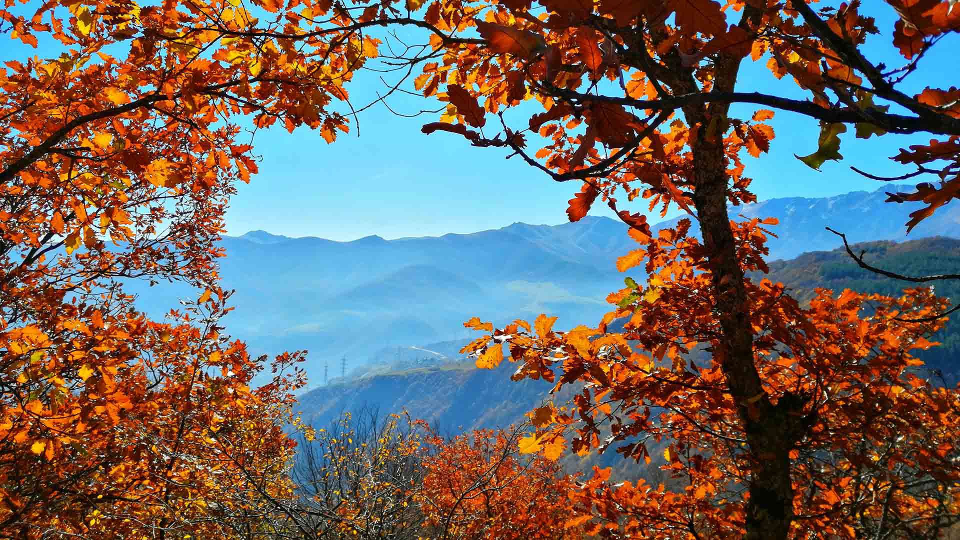 Foliage d’Autunno a Tschaval 2