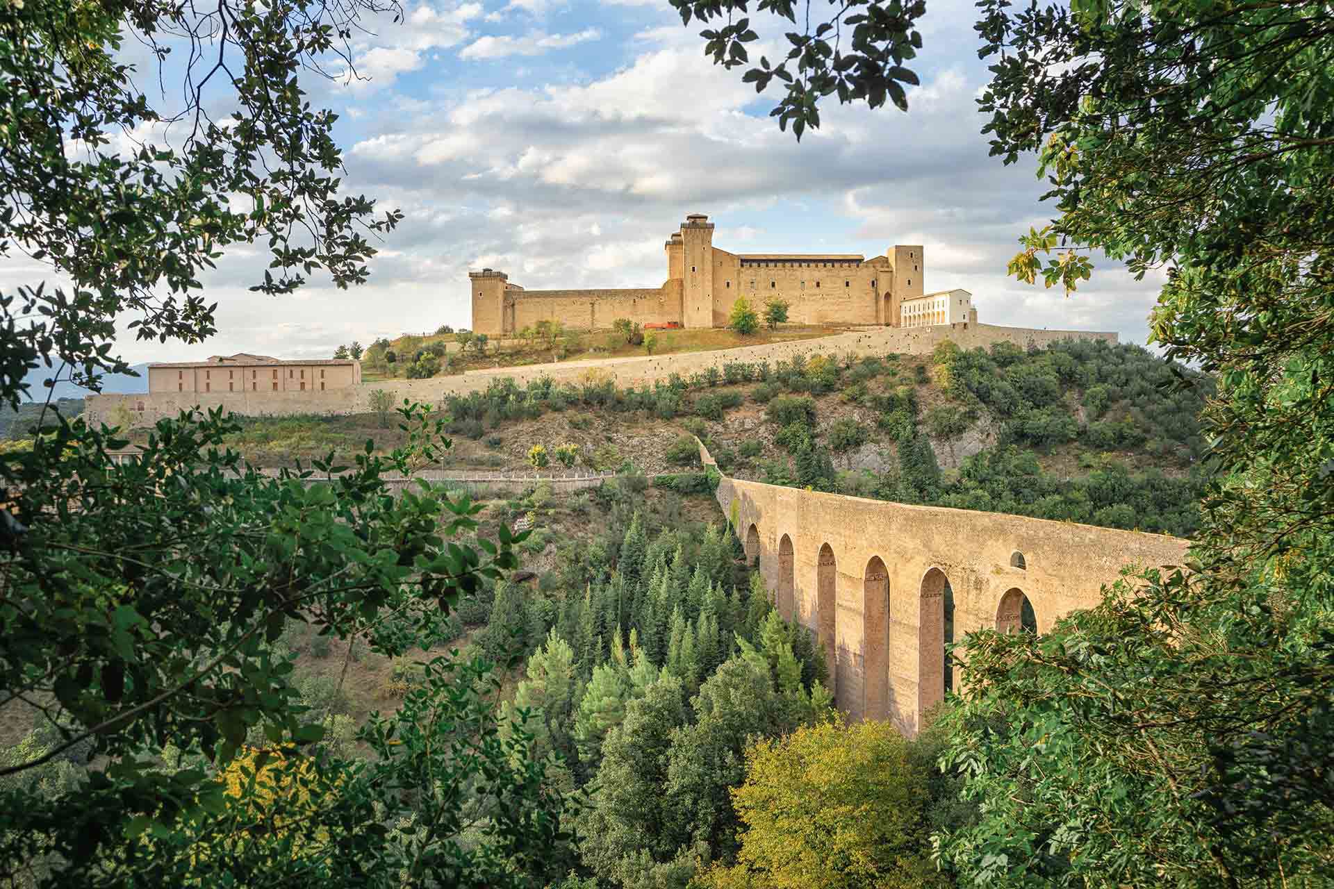 Dintorni 12