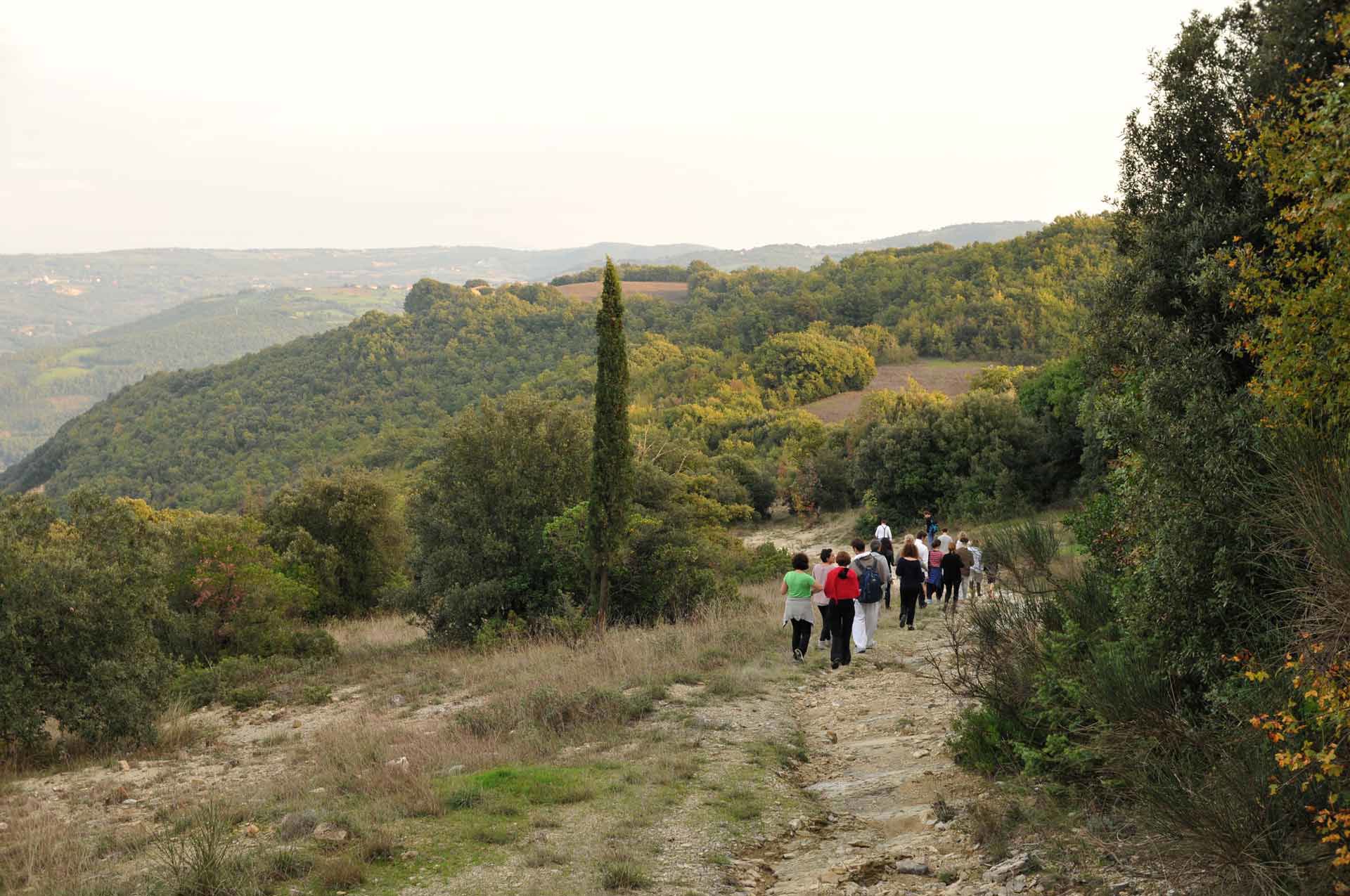 Natura 11