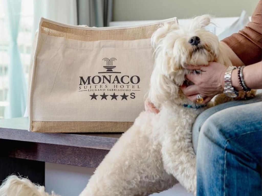 gallery/1024-CANE-COPERTINA.jpg