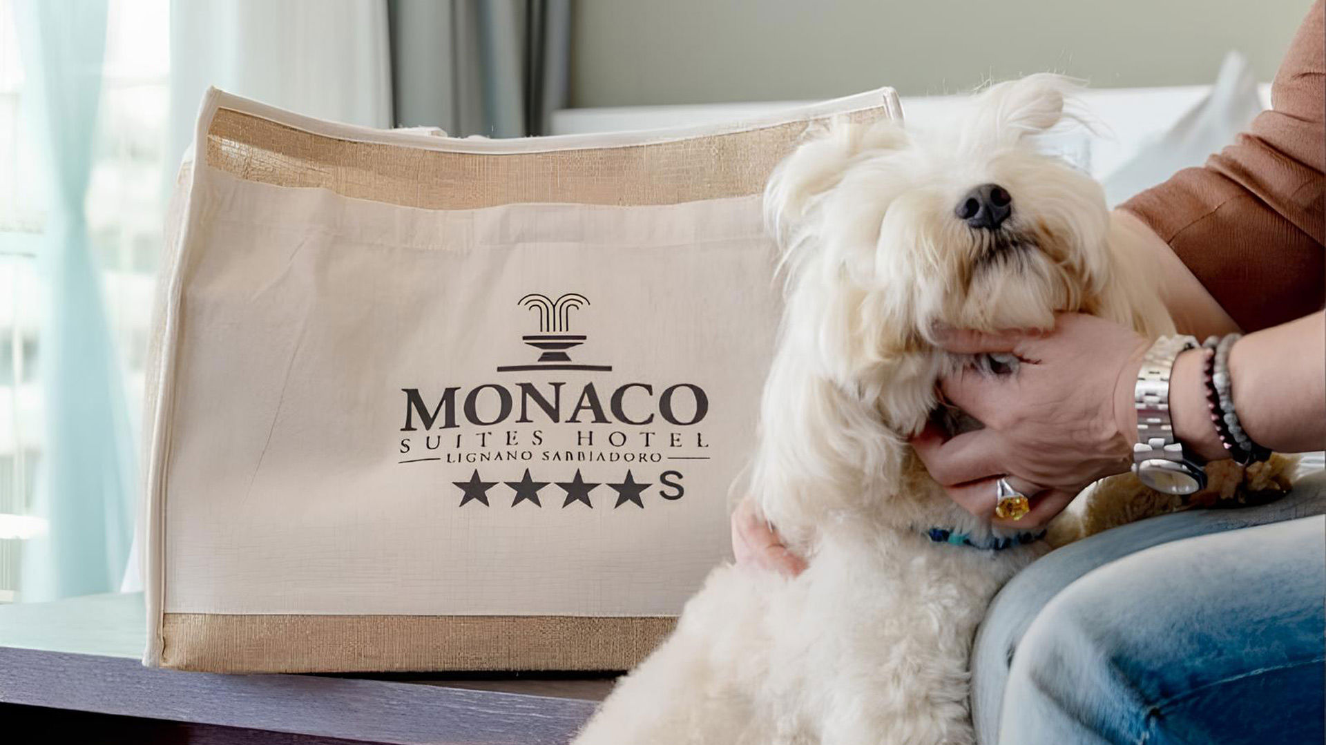 L’esclusiva Partnership con la Doggy Beach 1