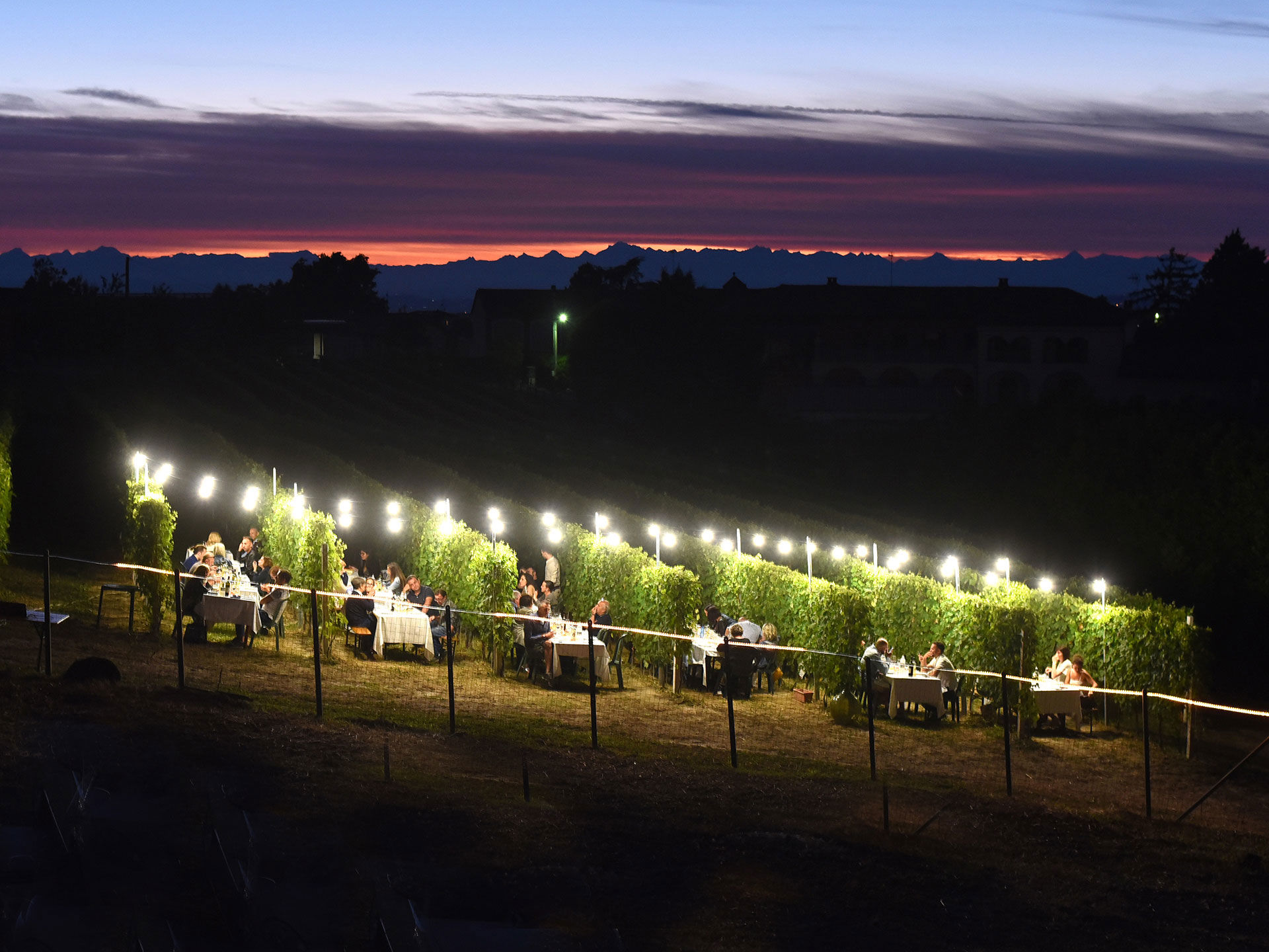 Cena in vigna 10
