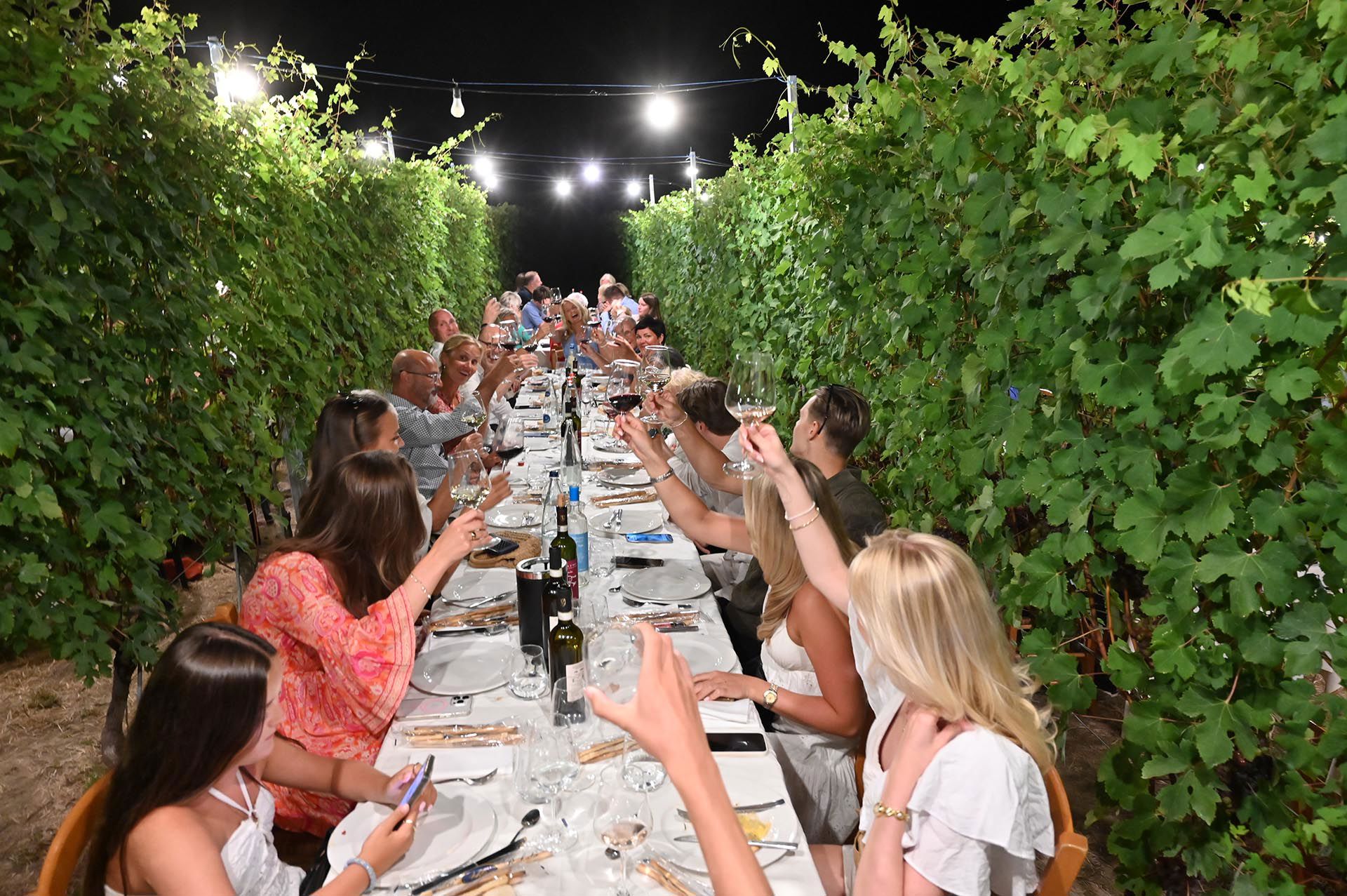 Cena in vigna 6