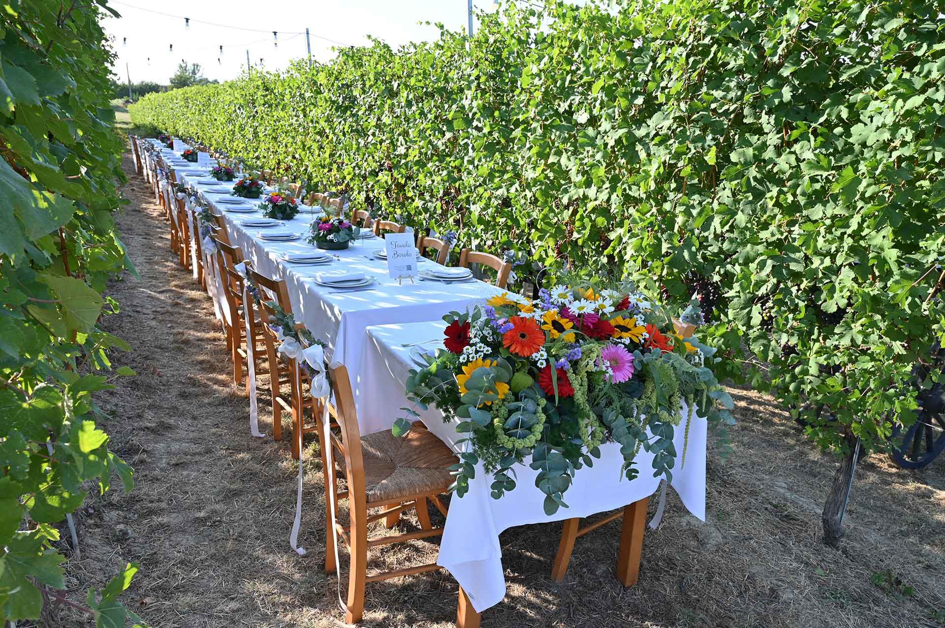 Cena in vigna 9